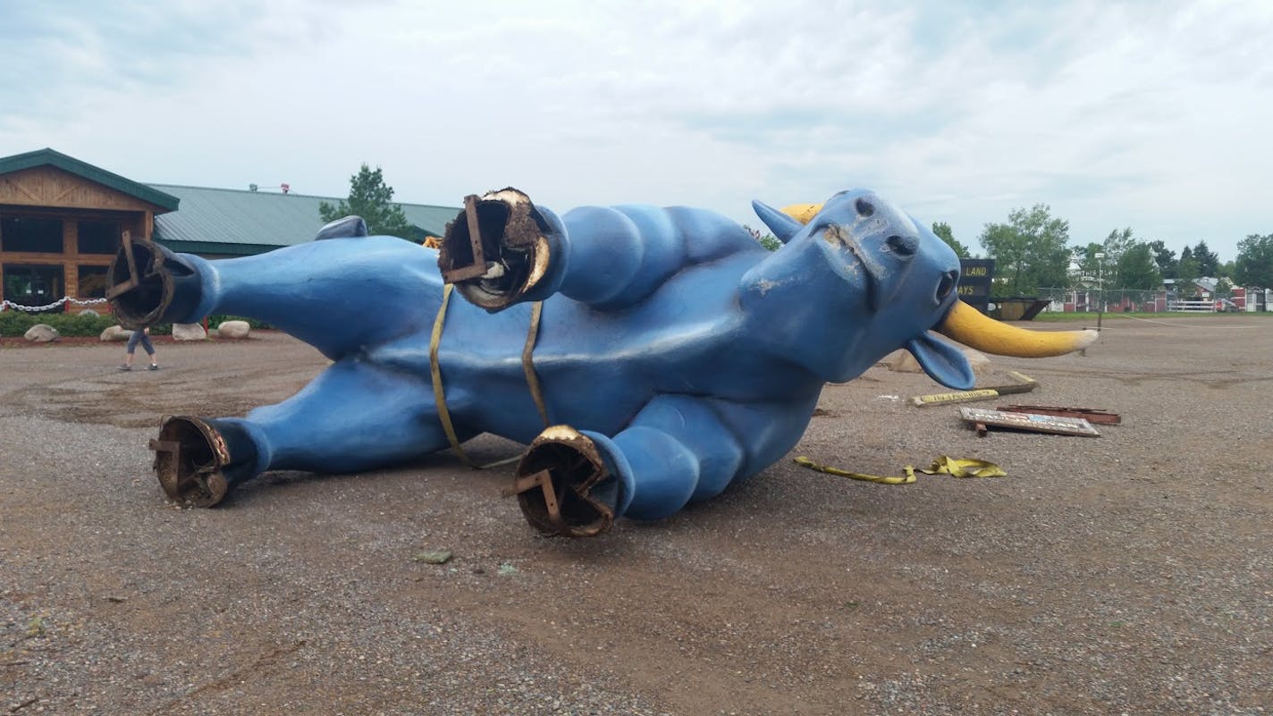 The iconic Babe the Blue Ox in Brainerd couldn't withstand the winds from a Thursday morning storm.