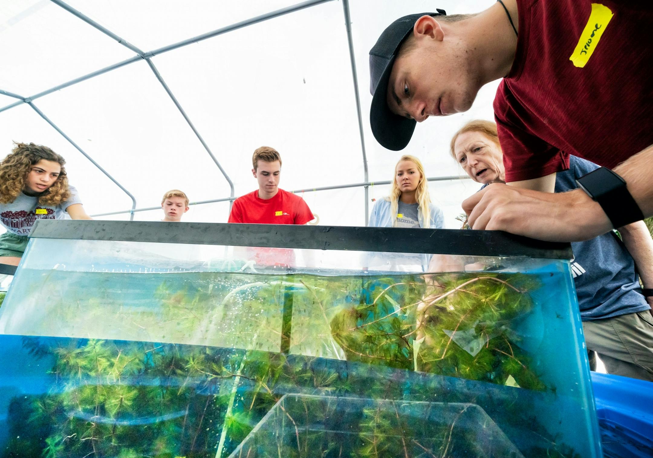 Jerome Newhouse, right, and the other students peered into the weevil breeding tanks.