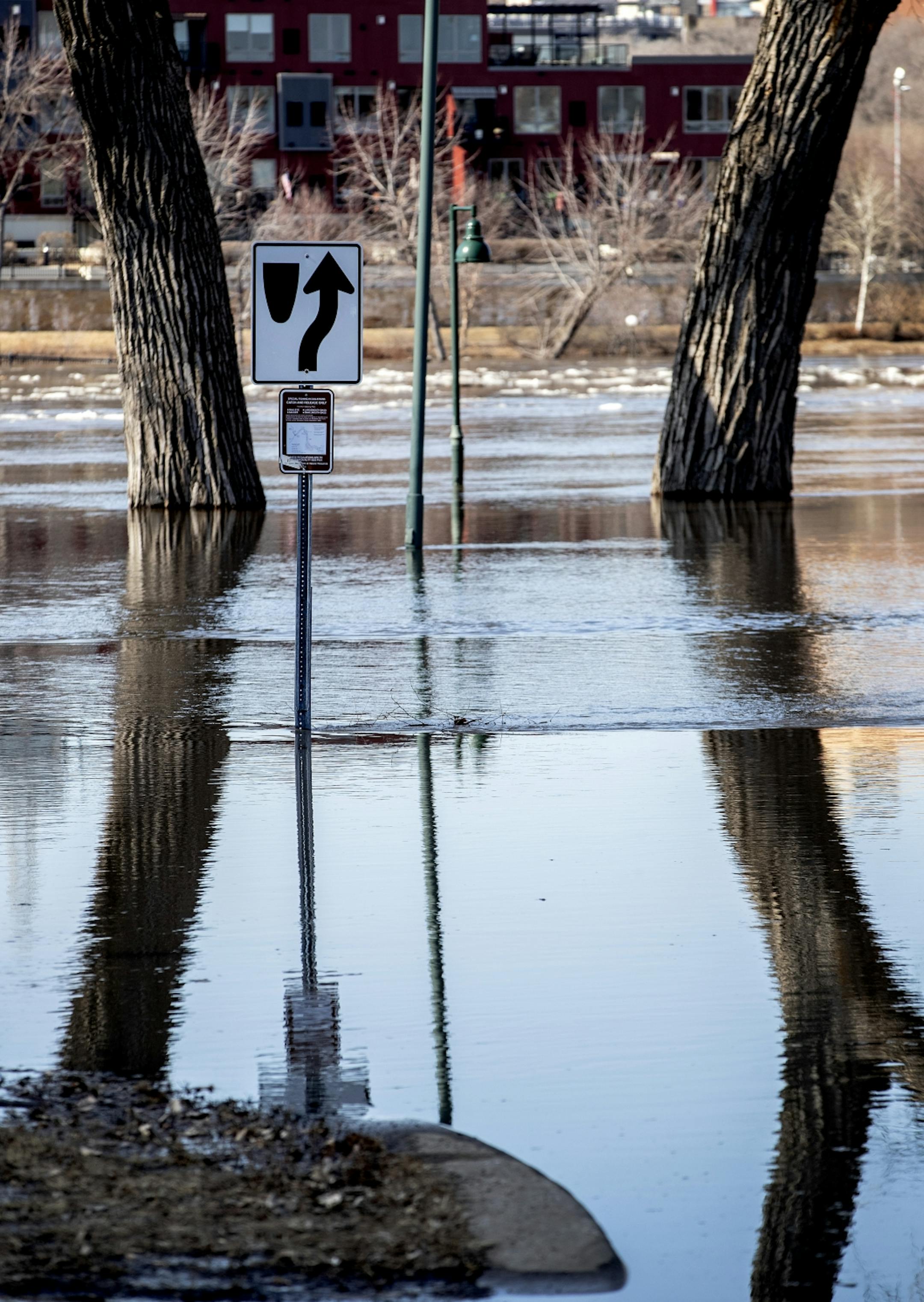 Flooding at Harriet Island Regional Park and the flowing Mississippi river on Monday afternoon.