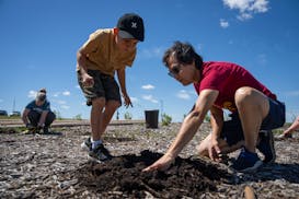 Tucker Quetone, right, shows Coen Wagner, 8, where to plant seeds in the medicine garden Friday at Dakota Middle School in Rochester.



Rochester Pub