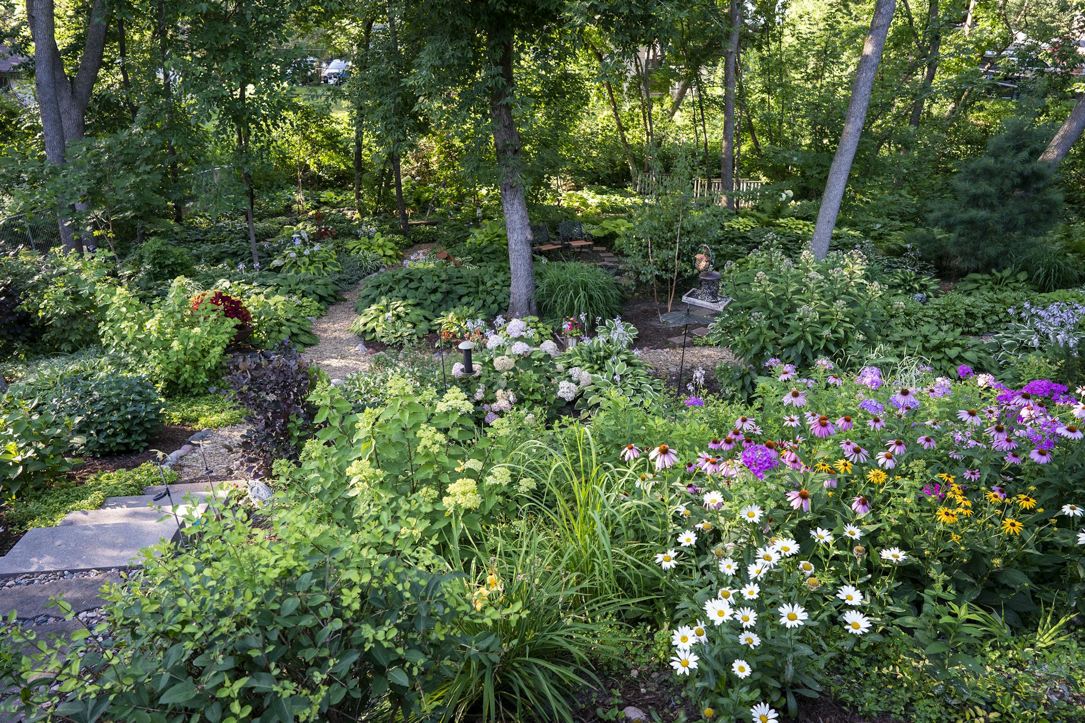 The backyard garden of Vani and Mike Phelps has a large flower bed and mulch paths that wind through the trees.