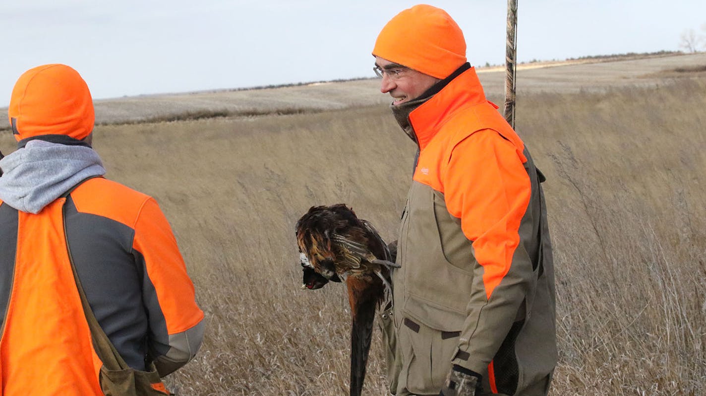 Scott Ward of Inver Grove Heights with a wild rooster he shot last week on a cold-weather pheasant hunt on private land west of Ipswich, S.D. Ipswich is home of the state's largest pheasant farm. Released birds are a major part of the hunting scene in the nation's top pheasant state -- a fact professional hunting guides and other buyers of stocked birds don't always like to discuss. The state itself, like Minnesota, doesn't supplement its wild bird population with farm-raised birds.