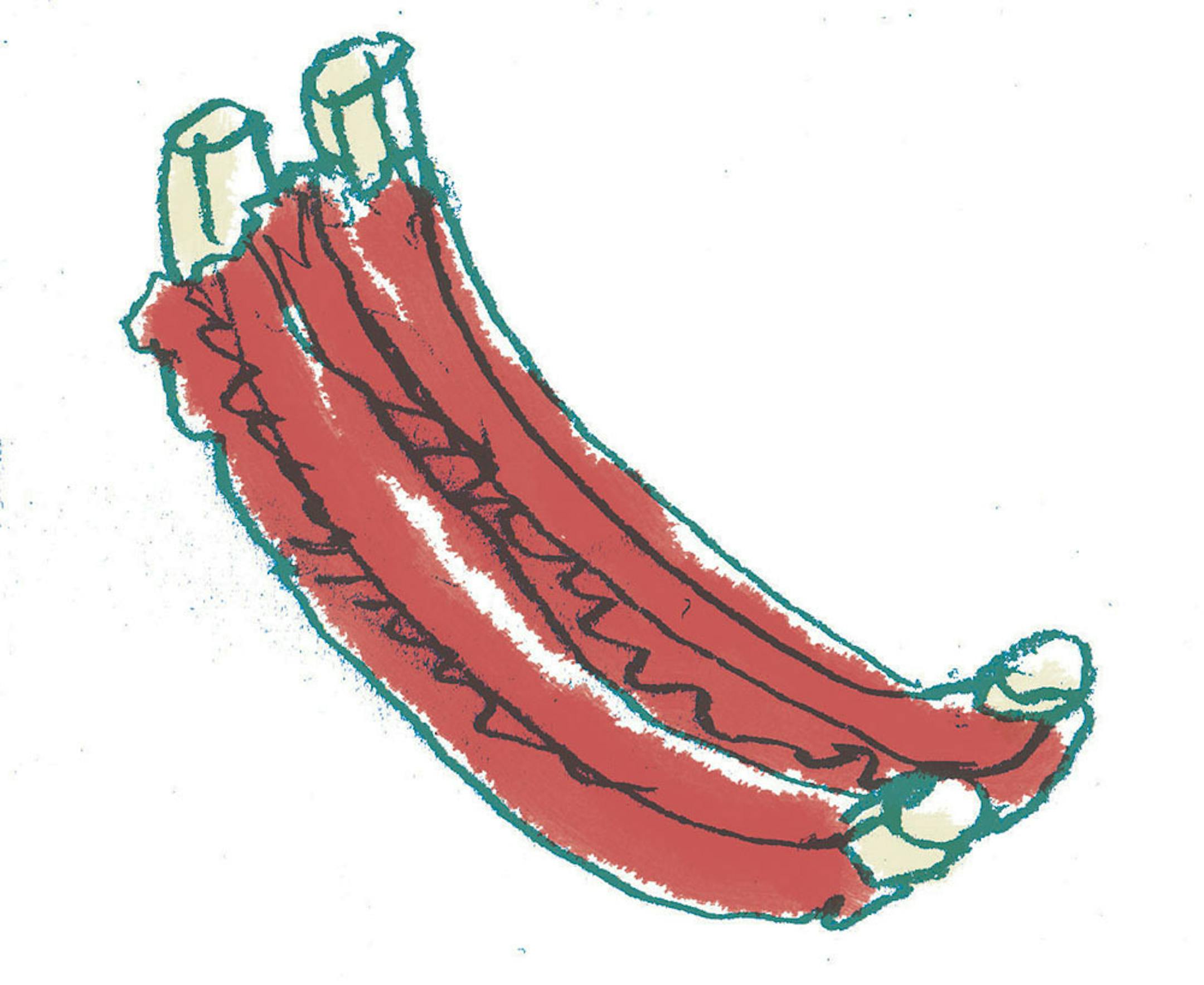 Ribs, Eric Hanson illustration, special to the Star Tribune