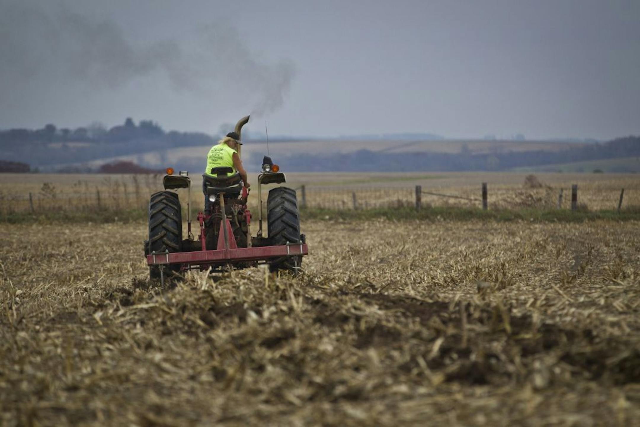 Dan Serfling tilled a field on his farm in Preston, Minn., on Monday, October 23, 2012. Serfling lost part of this field and a whole other field to rootworm.