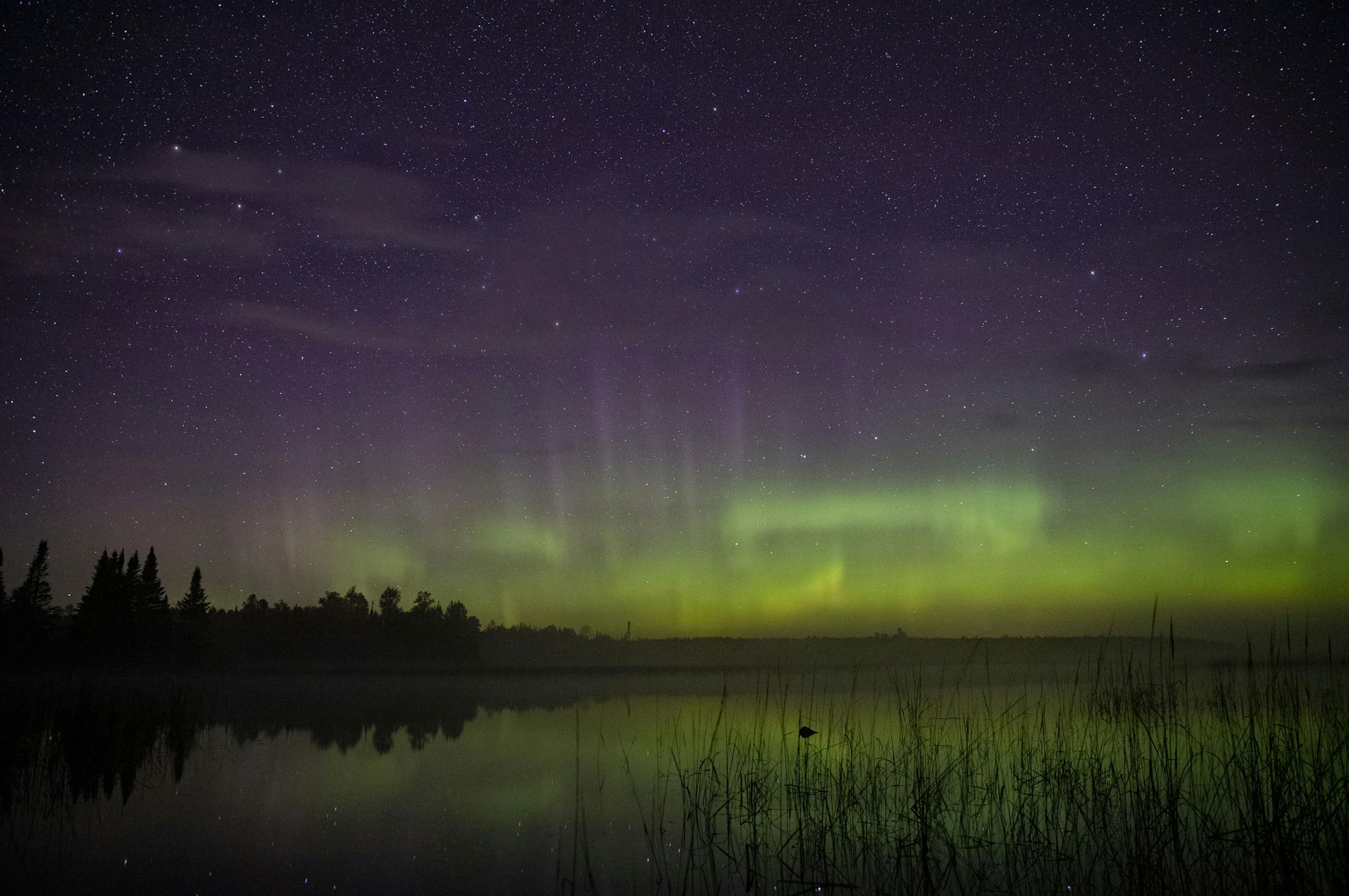 The aurora borealis could be seen on the North horizon in the night sky over Wolf Lake in the Cloquet State Forrest around midnight on Saturday morning.]
ALEX KORMANN • alex.kormann@startribune.com The KP index was high in the early morning hours of Saturday September 28, 2019 which meant the aurora borealis aka "the Northern lights" were visible from Northern Minnesota.
