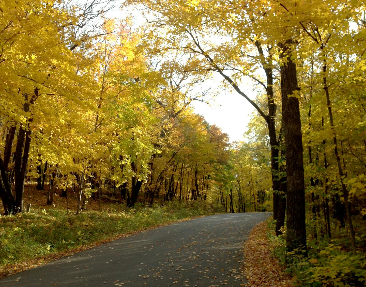 ) Maplewood State Park, seven miles east of Park Rapids, features 9,200 awe-inspiring acres, including eight lakes. ] Gail Rosenblum