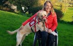 Chris Slavin of Danvers, Massachusetts, with her 3-year-old service dog, Earle. Massachusetts is considering a bill that would crack down on people wh