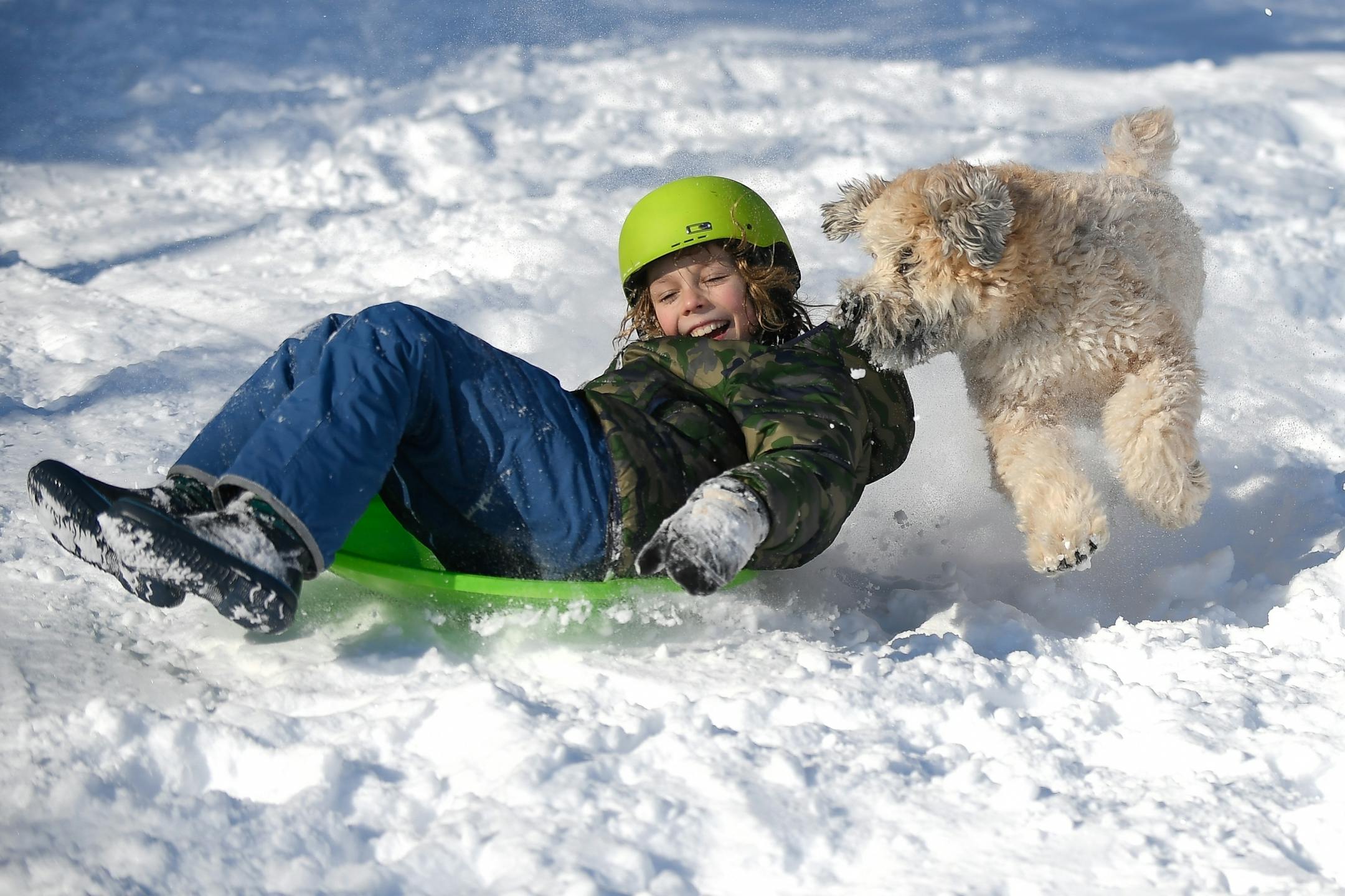 Tim Potter, 9, sledded down the hill at Beard's Plaisance as Griffen, a Wheaten terrier owned by another sledder, ran alongside Potter Tuesday morning.