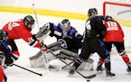 Minnesota Whitecaps goalie Amanda Leveiville (29) denies a shot by the Metropolitan Riveters Madison Packer (14) bench during the third period of the 