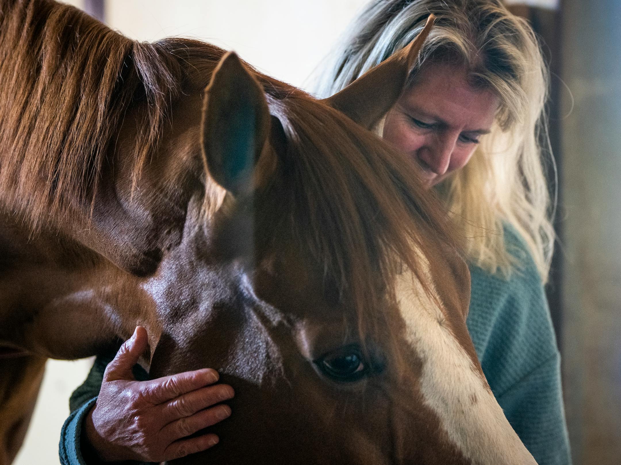 Veterinarian Dr. Christy Klatt has a quick snuggle with Hot Shot Kid while performing exams with the other veterinarians on horses in the barn at Canterbury Park in Shakopee, Minn.