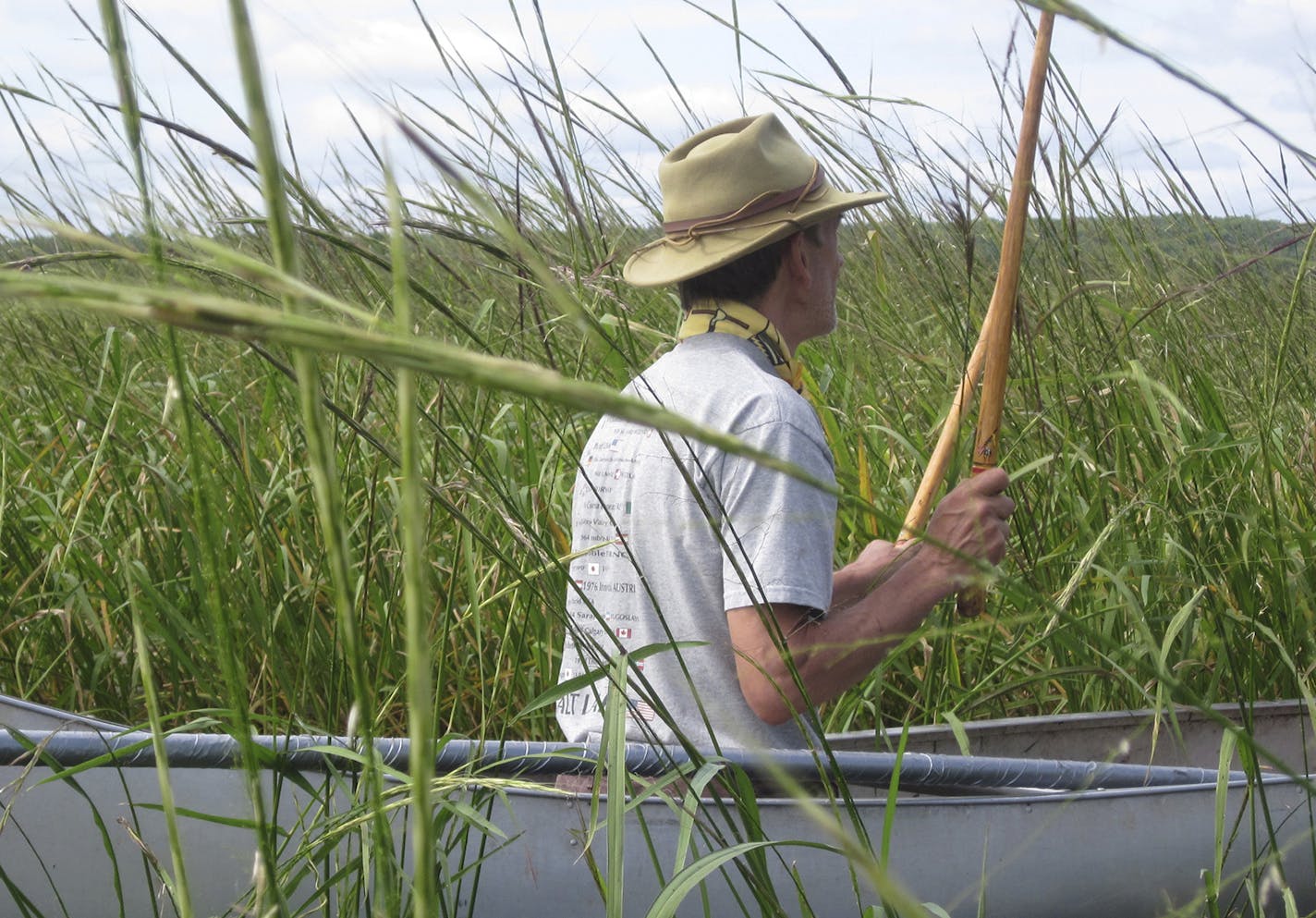 knocking wild rice into the canoe ORG XMIT: MIN2015012815203142