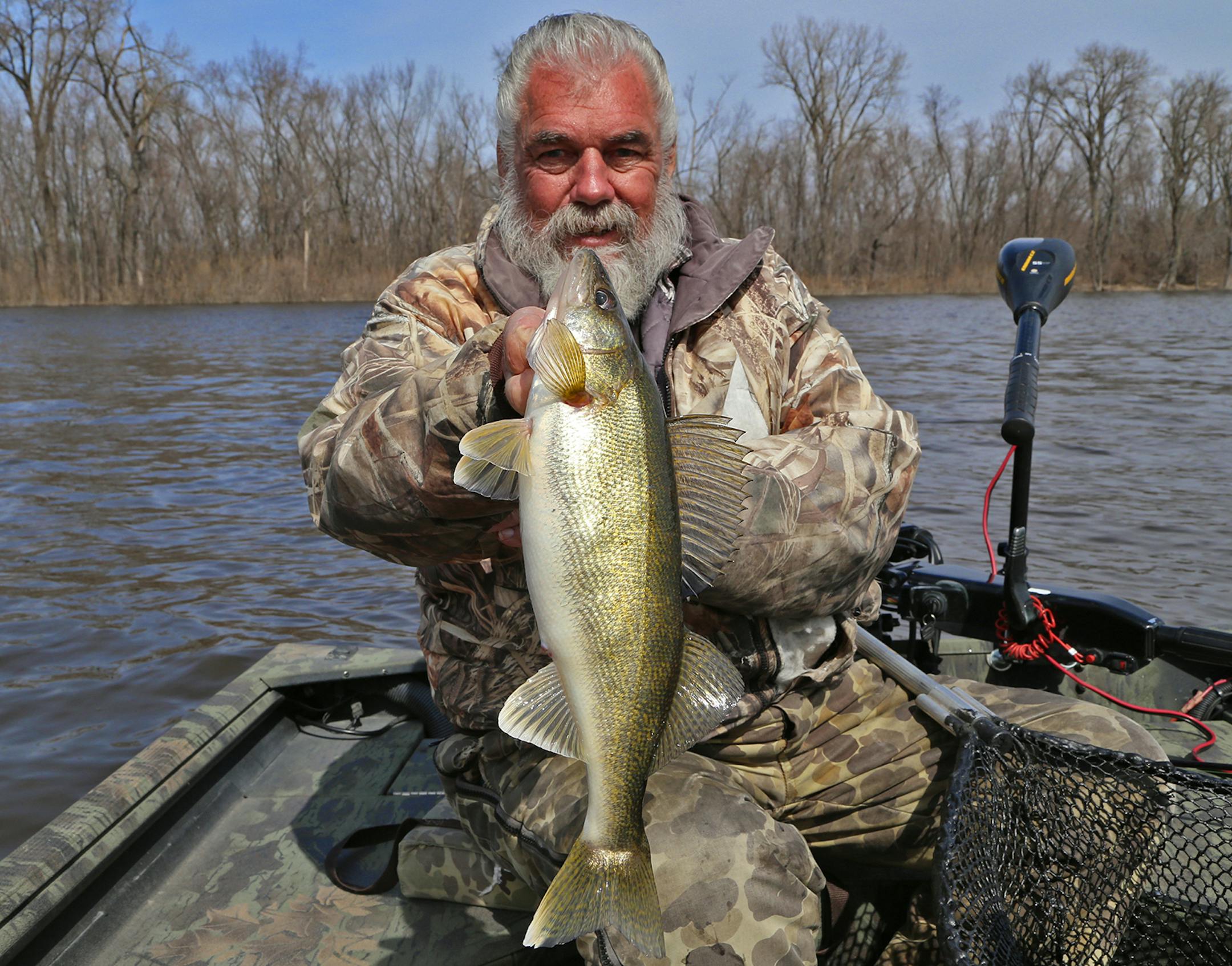 Springtime walleyes anyone? Dick "Griz'' Grzywinski of St. Paul with a plump walleye caught in the Mississippi River near Red Wing.