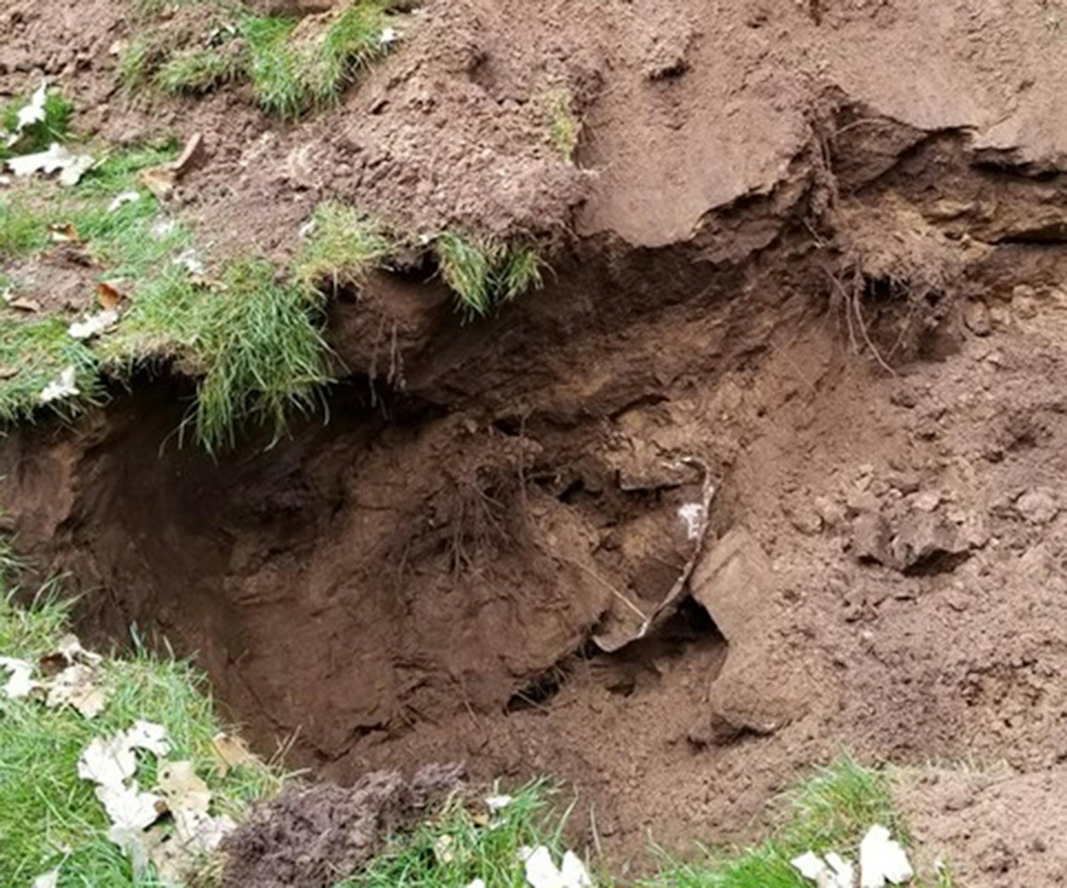 No matter how much black dirt Carrie Edberg and her family dumped in, the sinkhole never seemed to fill. Then the mystery grew.