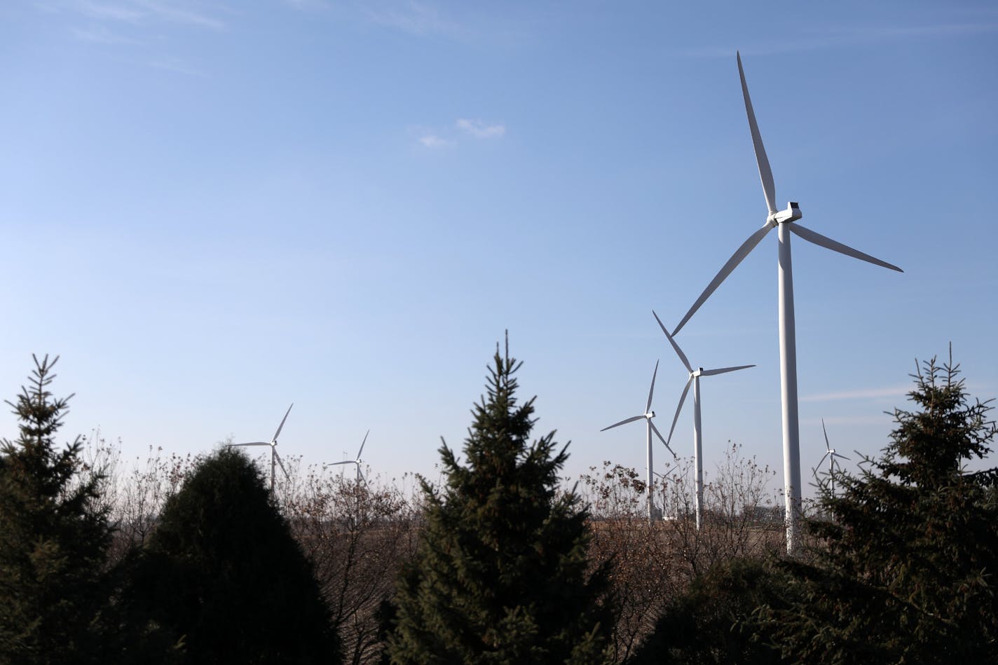 Bent Tree wind farm near Albert Lea is under scrutiny from state regulators for possible noise violations. (ANTHONY SOUFFLE/Star Tribune file photo)