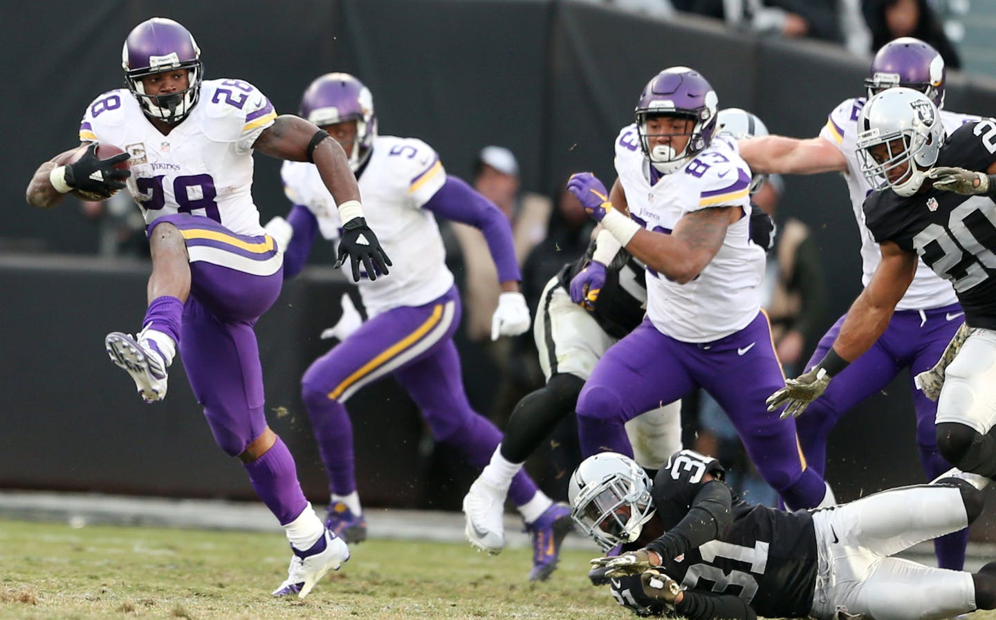 Minnesota Vikings running back Adrian Peterson (28) scored on an 80 yard touchdown run late in the forth quarter at the Oakland Coliseum Sunday November 15, 2015 in Oakland , CA. ] The Minnesota Vikings beat at the Oakland Raiders 30-14 in the Coliseum. Jerry Holt/ Jerry.Holt@Startribune.com