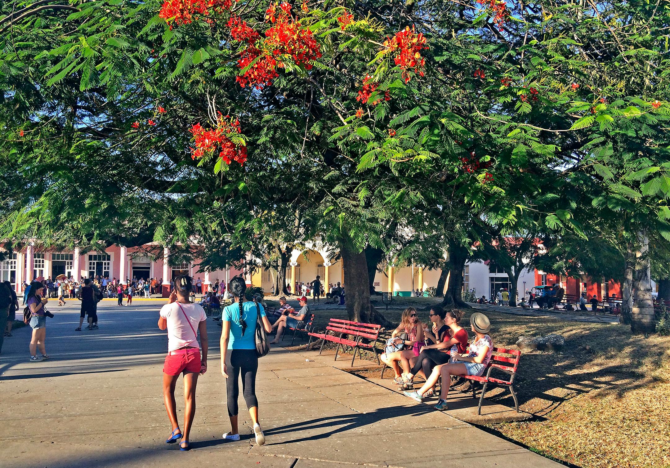 In Parque Vidal, Santa Clara's center square [ Photos by Amelia Rayno
The Minneapolis Star Tribune