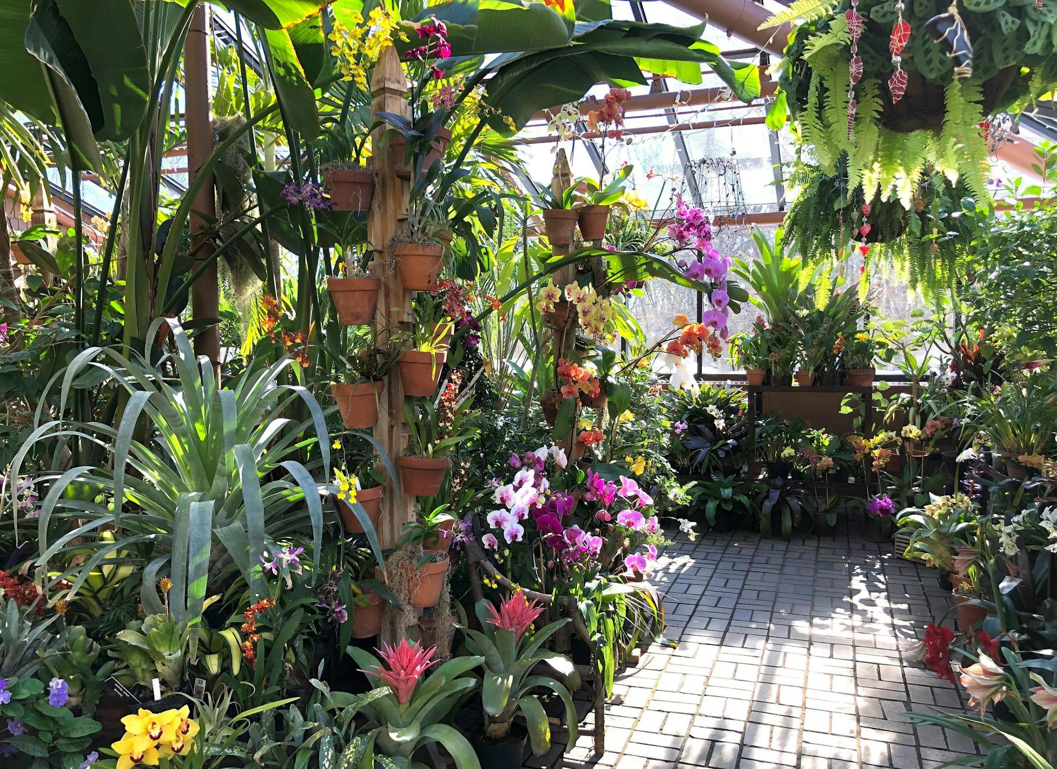 Beat the winter blues by visiting the Meyer-Deats Conservatory at the Minnesota Landscape Arboretum. It's free admission on Wednesdays in March.