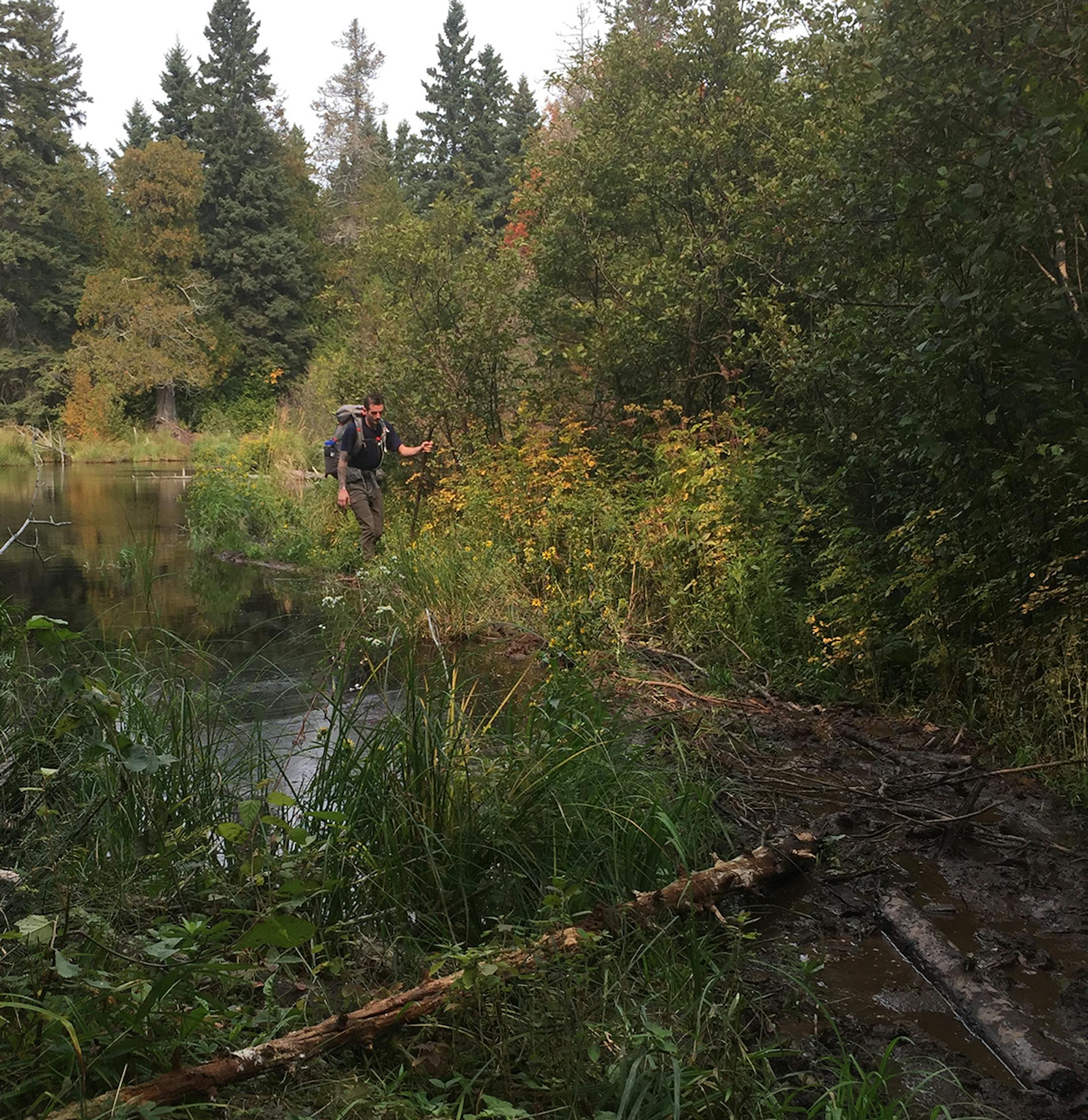 Isle Royale has interior and ridge trails that differ in ruggedness.