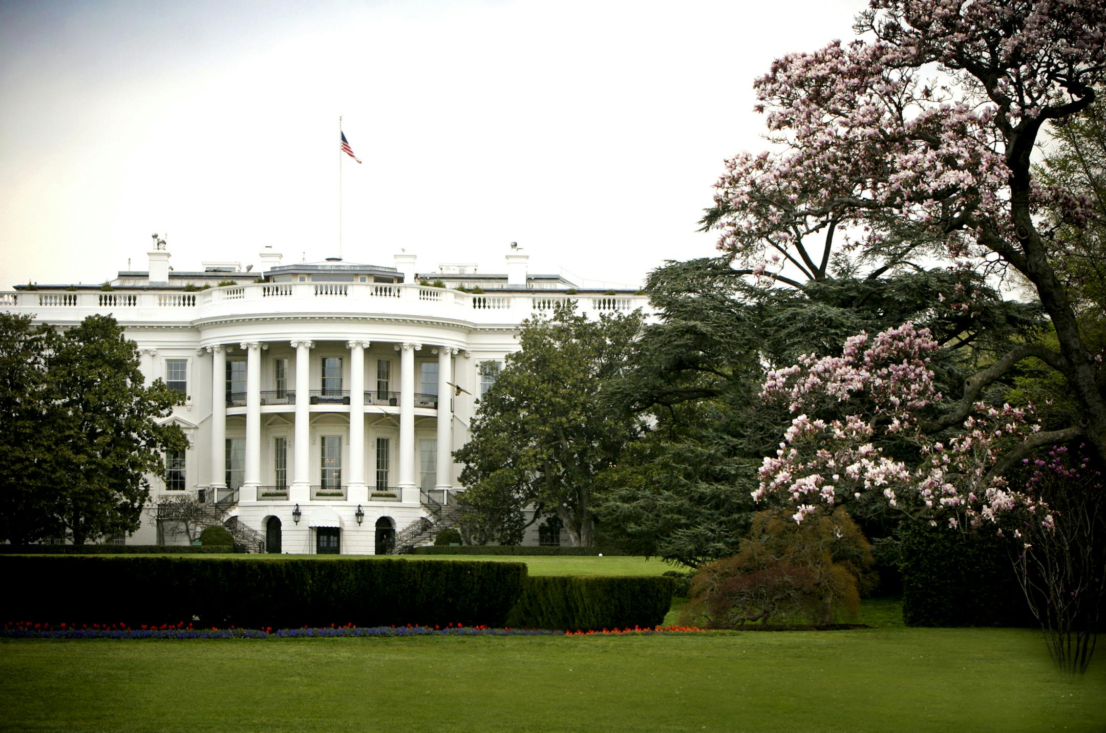 Stock image of White House in Washington, DC. ISTOCKPHOTO.