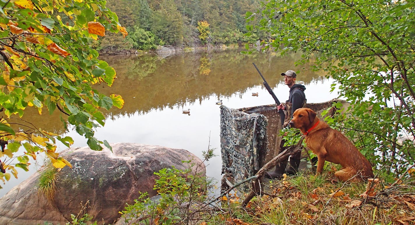 Harrison Smith, 24, of Willmar scanned the skies Saturday morning on the opening of the 2020 duck season. Perched in the backwaters of the Minnesota River near Sacred Heart, Smith and his father, Will, downed a couple of wood ducks.