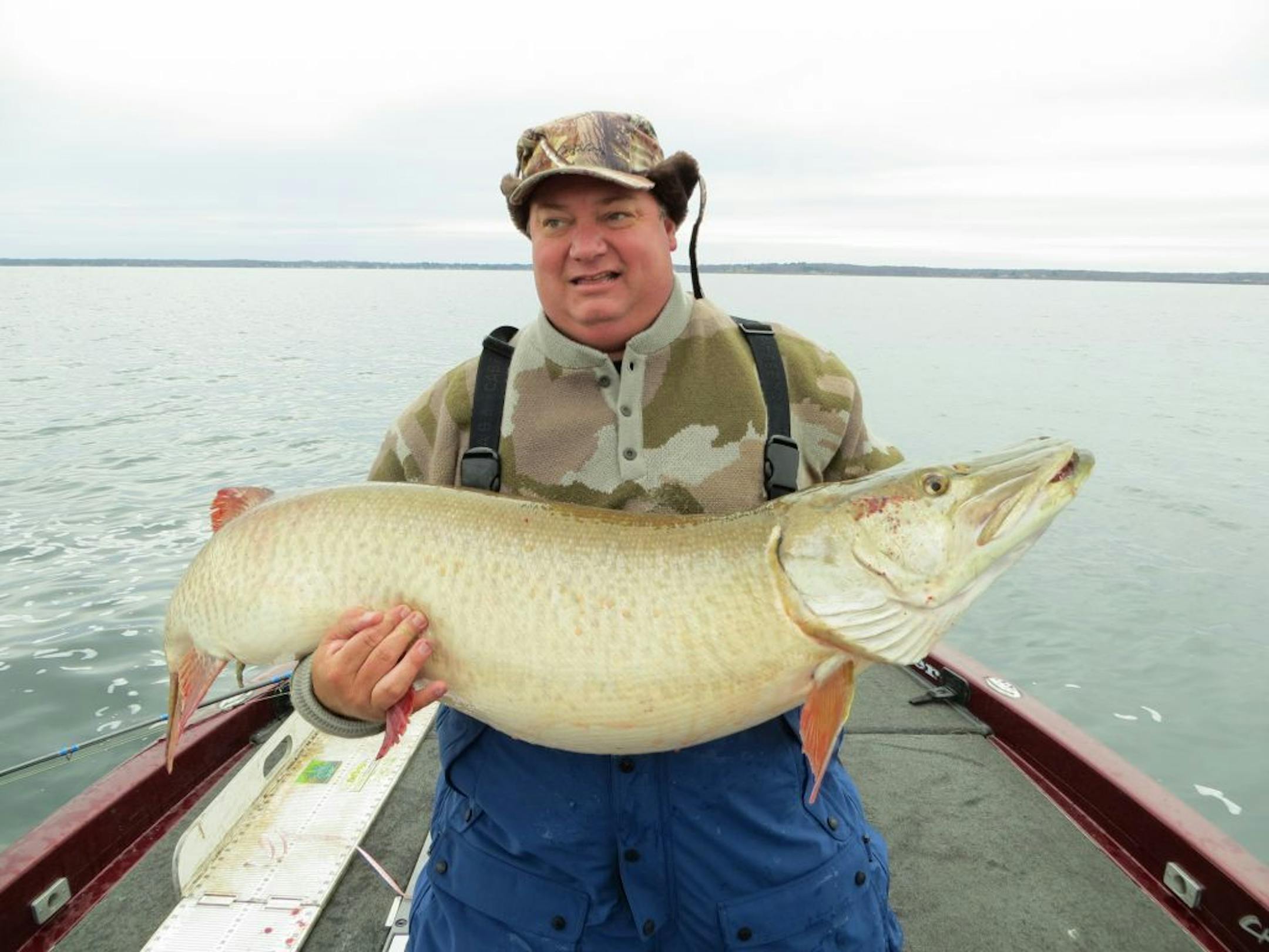 Roger Ecklund of the Twin Cities last month caught and released what almost surely would have been a state record muskie while fishing on MIlle Lacs with guide Jason Hamernick.