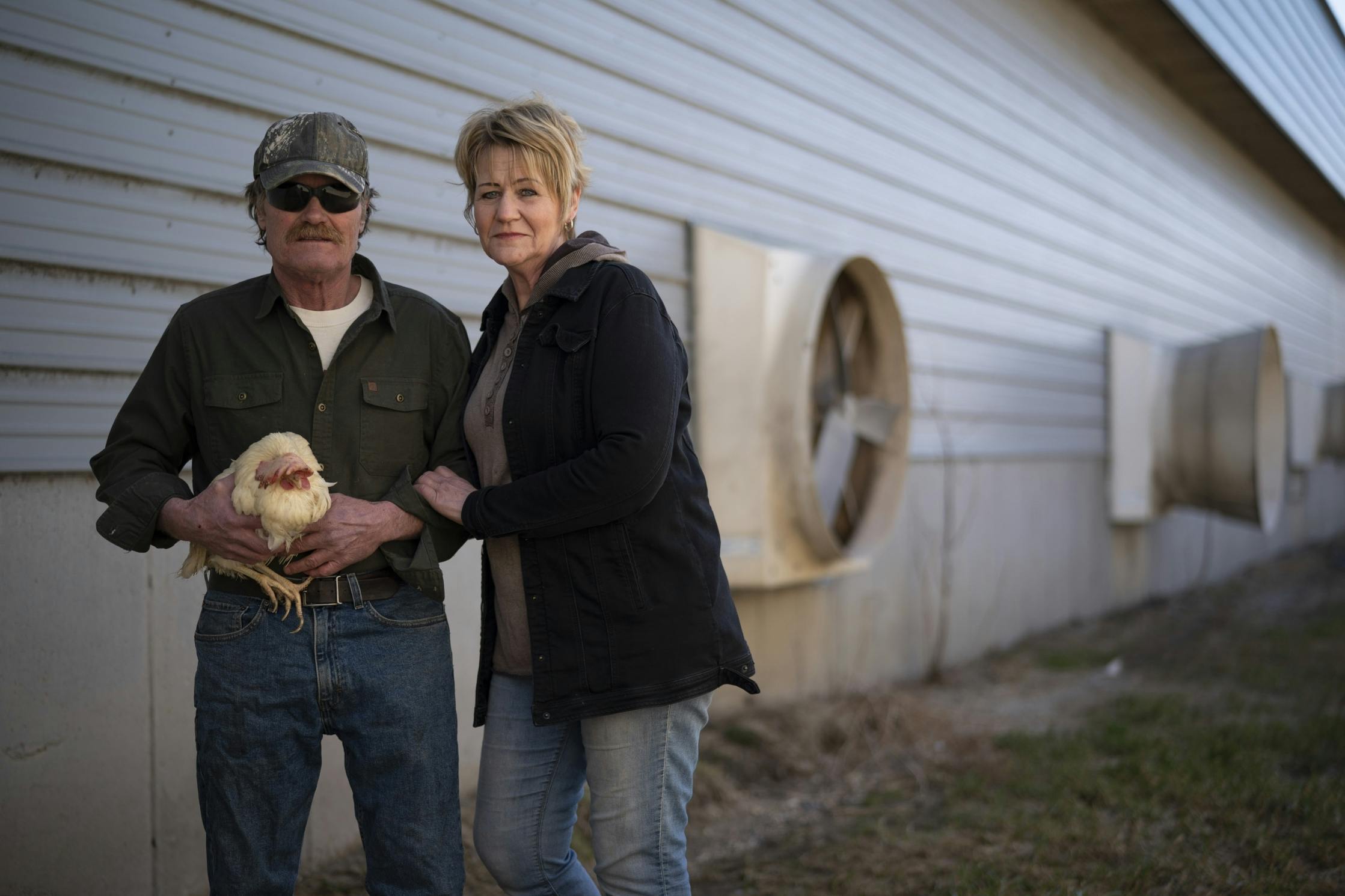 Egg demand shifted, and 61,000 Minnesota chickens were euthanized