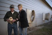 Kerry and Barb Mergen outside their now empty chicken house with a straggler who managed to elude the crew that came in just before Easter to euthaniz