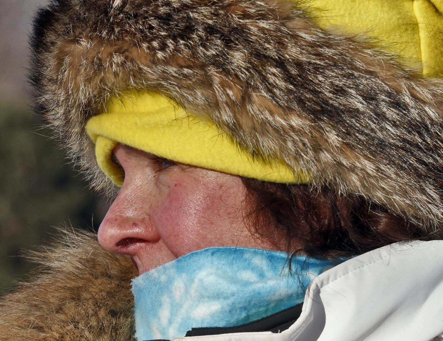 While some Minnesotans head south to warmer climes, others embrace January sub-zero temperatures by heading to recreation sites at area parks. Diane Marker of Roseville used coyote fur to help keep her warm as she skied the trails on St. Paul Como Park's golf course. (MARLIN LEVISON/STARTRIBUNE(mlevison@startribune.com)