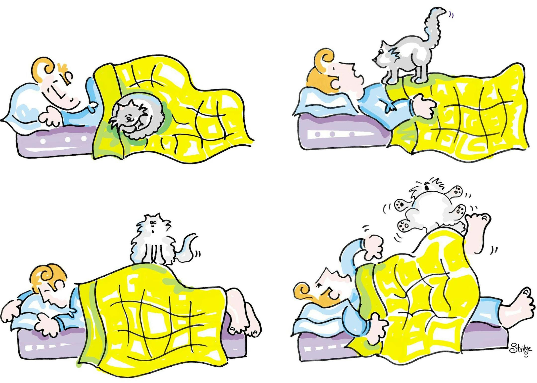 300 dpi 4 col x 5.5 in / 196x140 mm / 667x475 pixels Gabriela Schmidt color illustration of a person sleeping in four positions: side, back, stomach and tossing. San Jose Mercury News 2003 With HOME-PILLOWS:SJ, Knight Ridder by Kim Boatman <p> KEYWORDS: pillows pillow feature features home sleep sleeping bad good night sleeper cat insomnia tossing illustration almohada aspecto aspectos hogar casa dormir durmiente ilustracion grabado contributed sj schmidt 2003