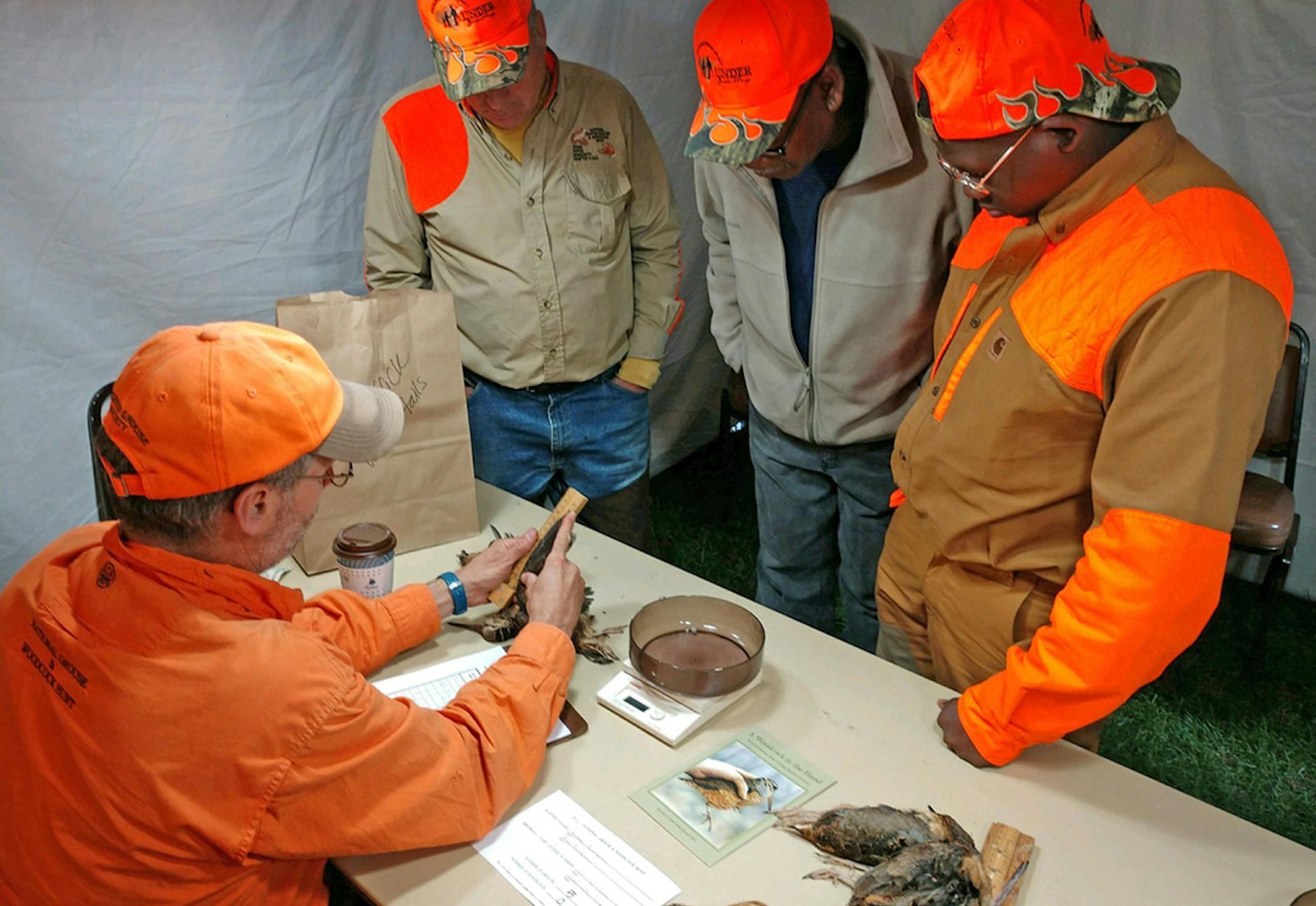 At the annual Ruffed Grouse Society hunt this fall in Grand Rapids, wingshooters will be required to test any grouse they harvest for West Nile virus. ORG XMIT: MIN1710171711332704
