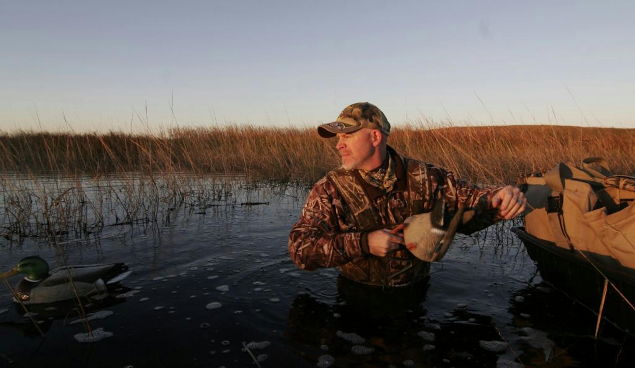 Brad Nylin, executive director of the Minnesota Waterfowl Association, sets out decoys on the 2010 duck opener.