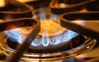 A burner on a stove emits blue flames from natural gas.