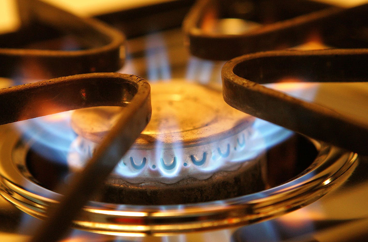 A burner on a stove emits blue flames from natural gas.