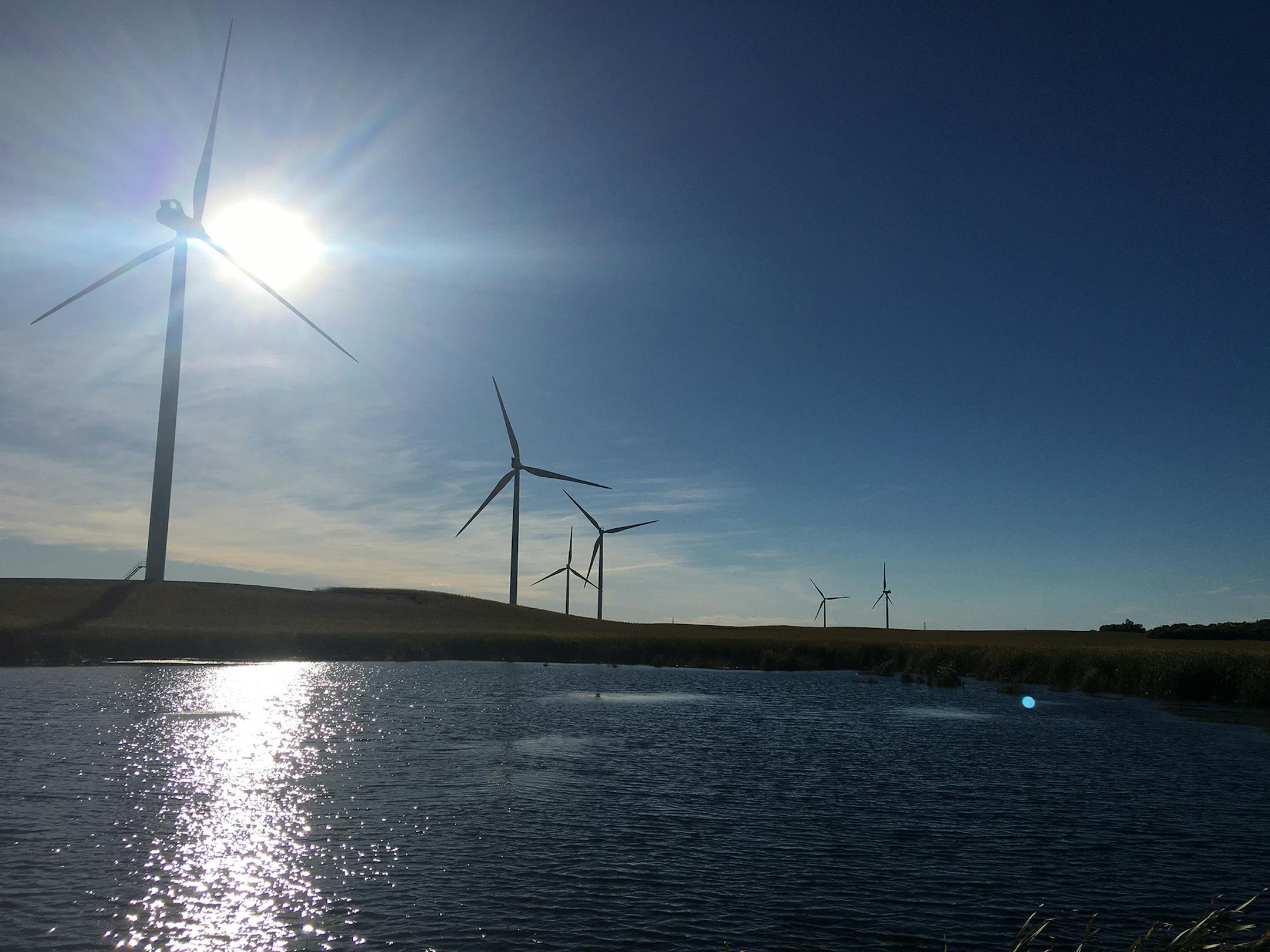 Xcel announced plans for another wind farm in South Dakota. This plant is in Courtenay, S.D. (Provided by Xcel)