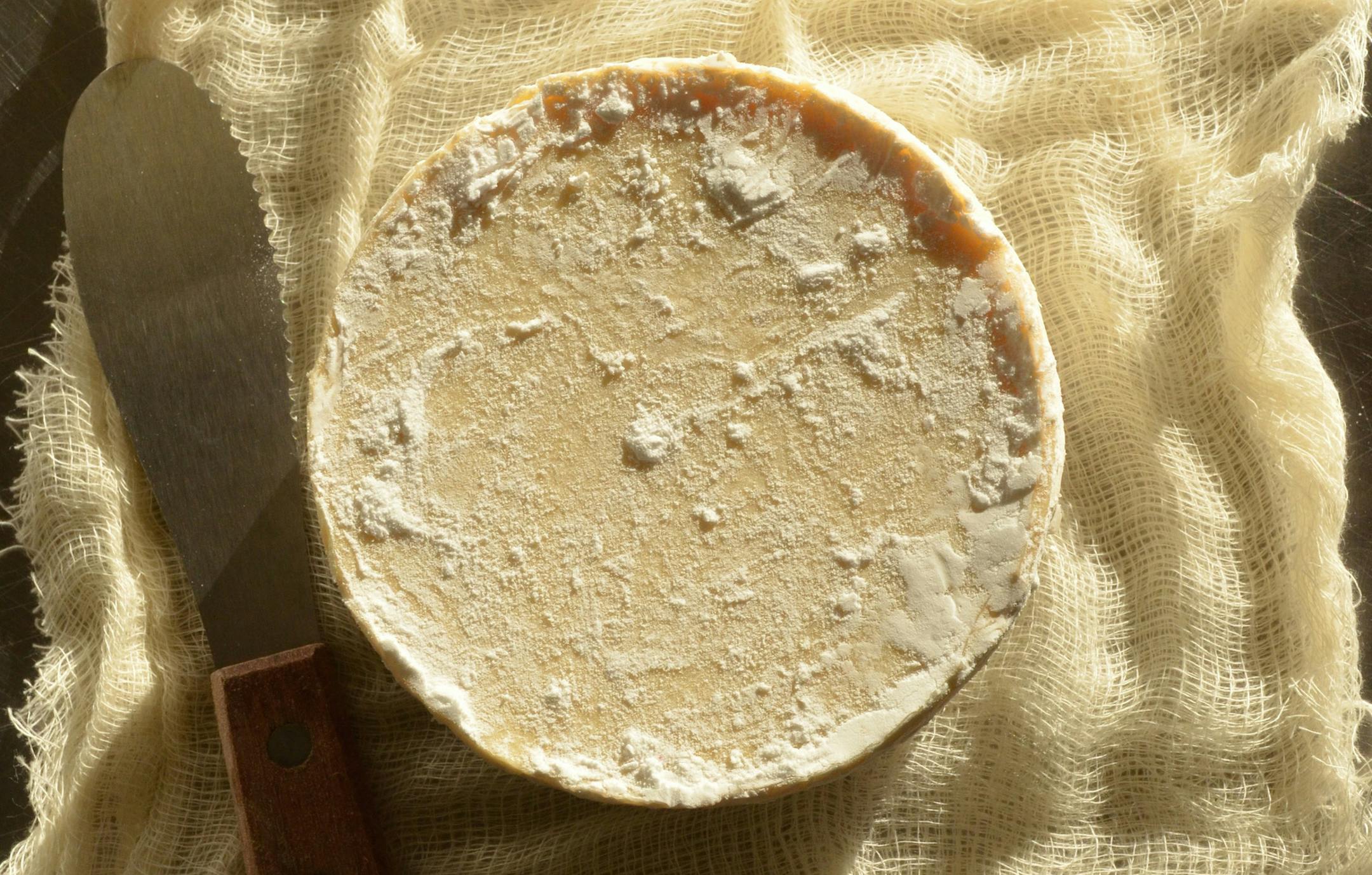 Camembert-style cheese.