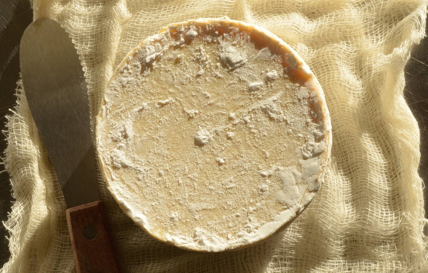 Camembert-style cheese.