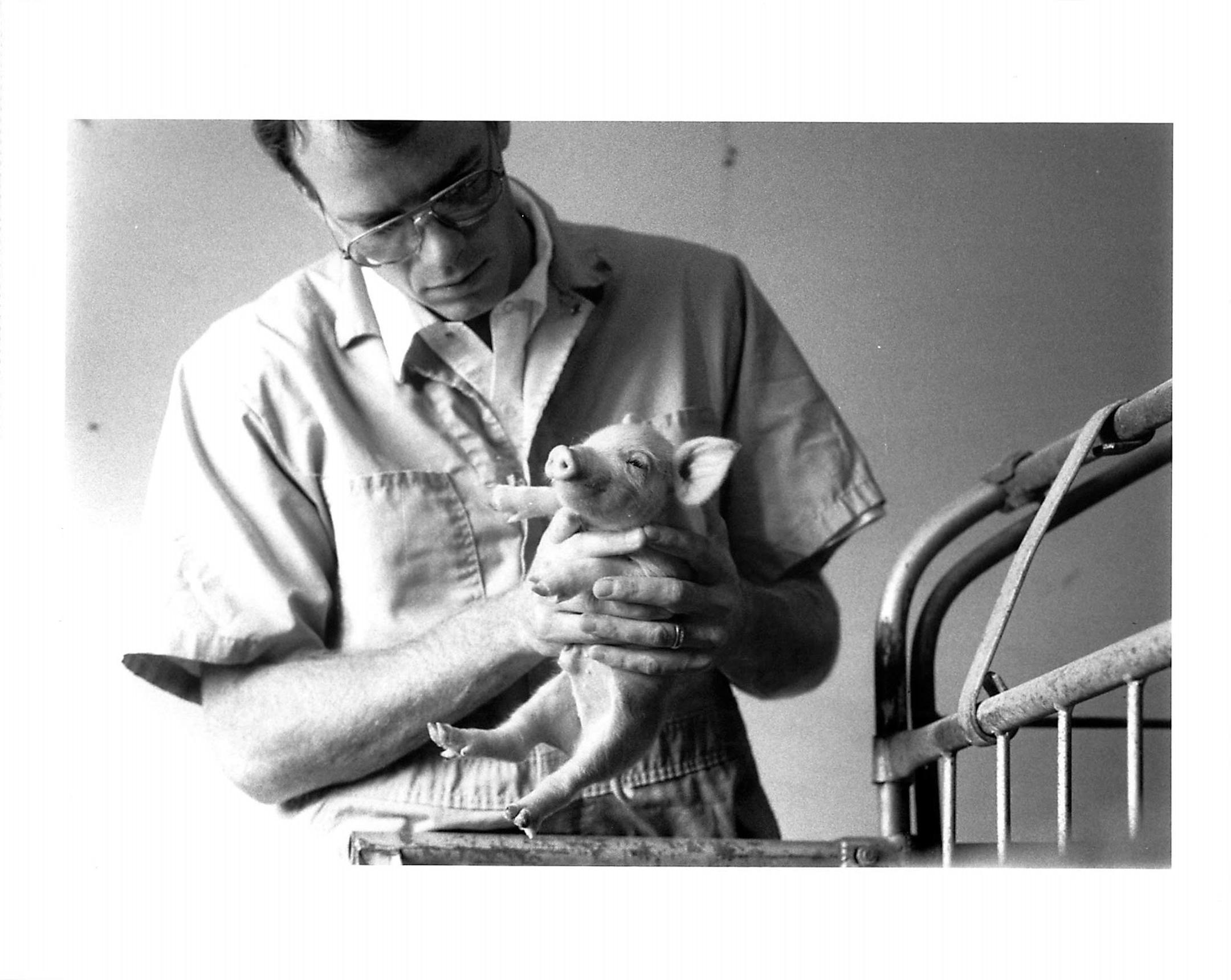 Dr. Morrison committed his career to pushing and developing the next generation of veterinarians, researchers, and farmers, while continuing to do work that mattered for an industry he was invested in. "I think it's the internal fire that drives people to be contributors throughout their life. Bob wanted to contribute for his entire life, not just the peak of his career," said Dr. Barry Kerkaert of Pipestone.
