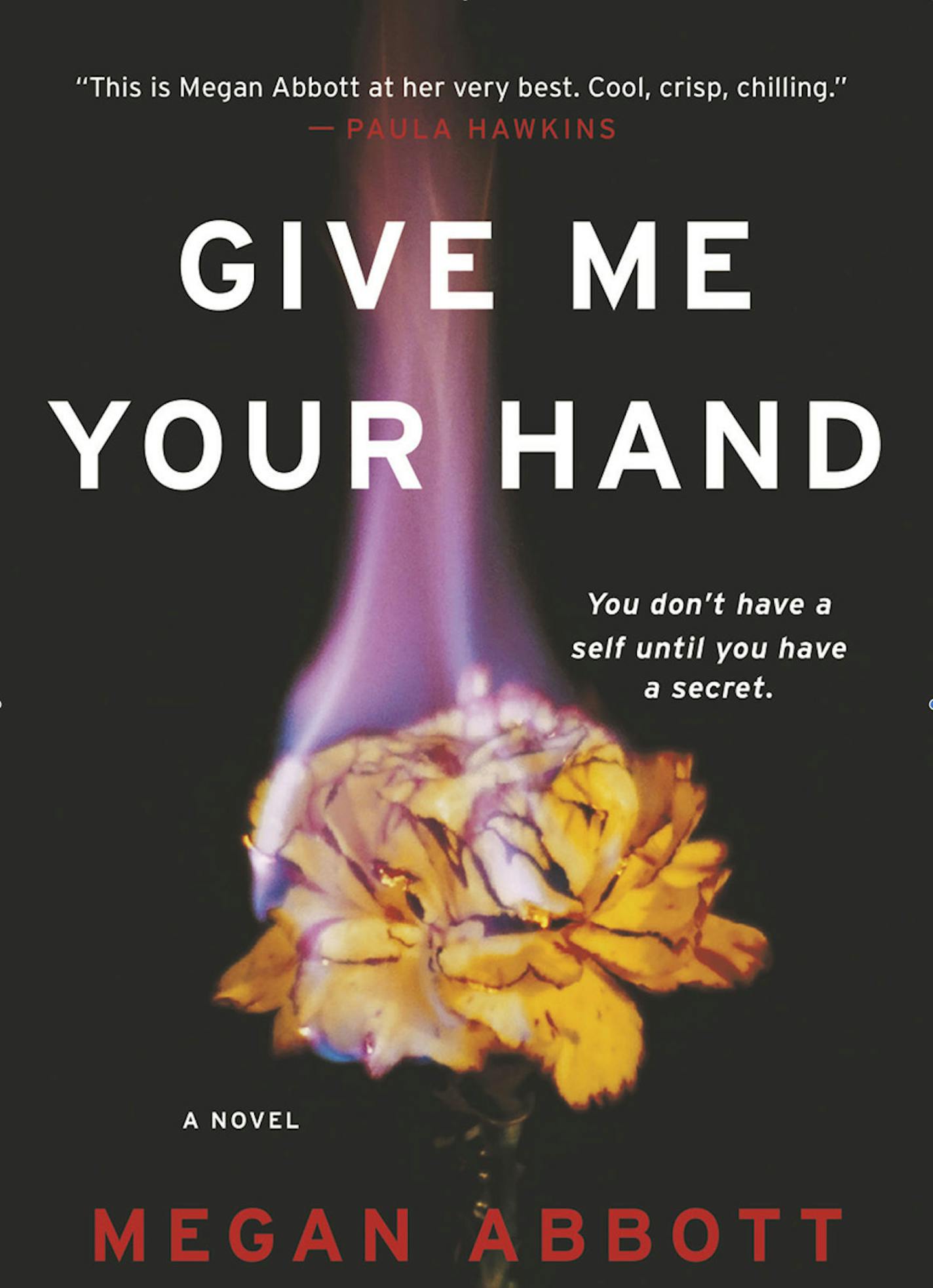 "Give Me Your Hand" by Megan Abbott.