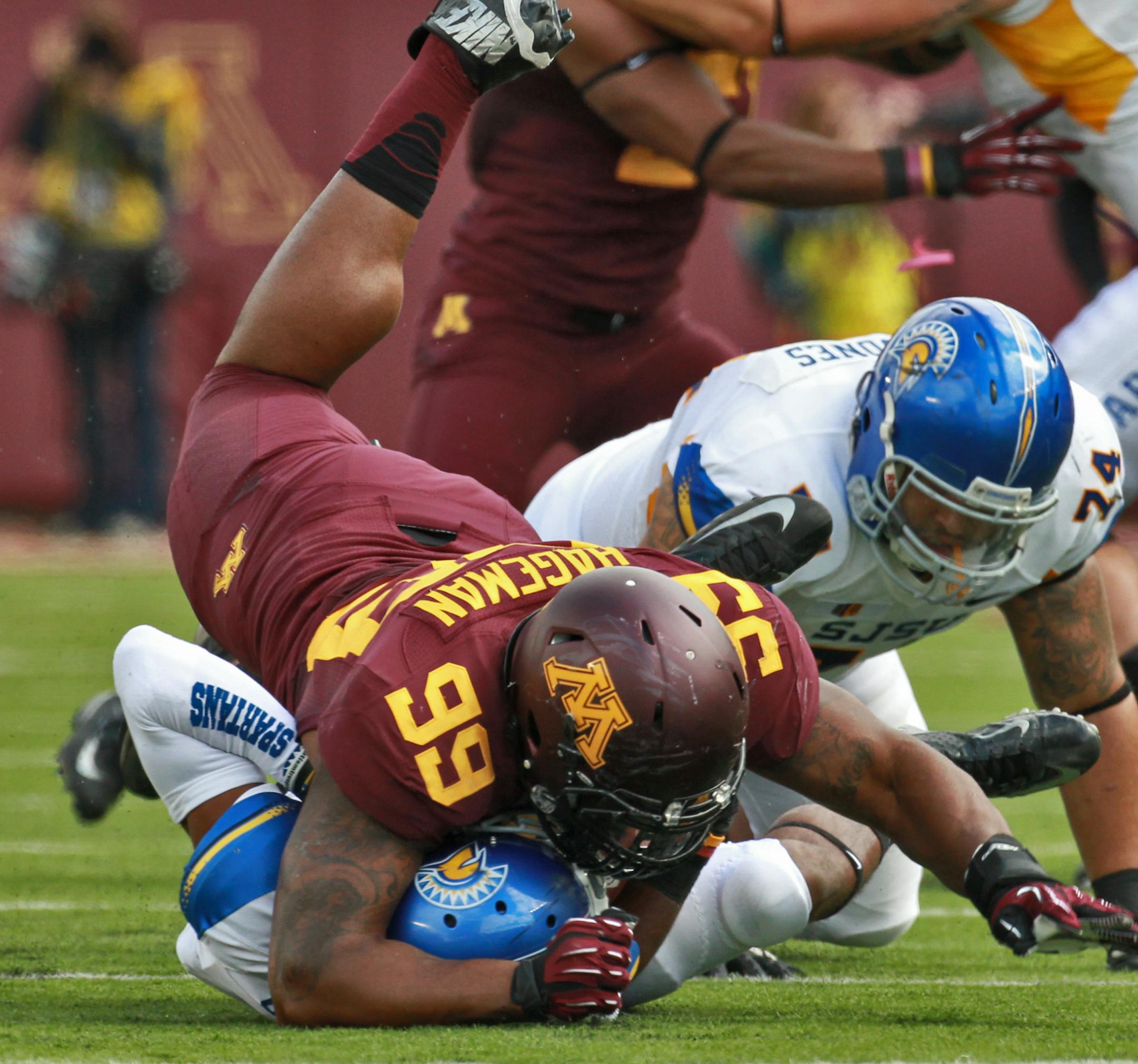 Minnesota Gophers vs.San Jose State football. Minnesota won 43-24. Minnesota quarterback Mitch Leidner had four rushing touchdown in the game with 151 yards gained running. Gophers defensive lineman Ra'Shede Hageman threw San Jose State running back Tim Crawley for a 2-yard loss behind the line of scrimmage. (MARLIN LEVISON/STARTRIBUNE(mlevison@startribune.com) ORG XMIT: MIN1309211536481091