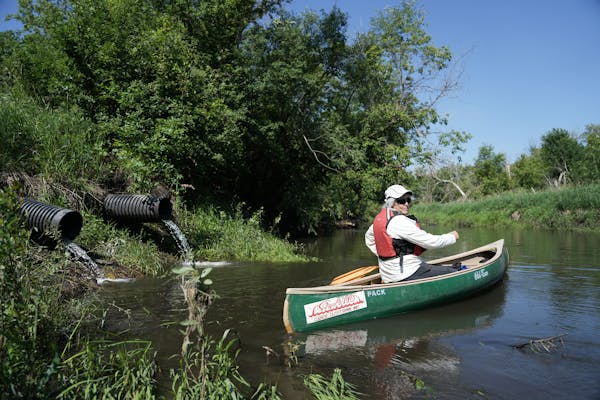 Researcher Carrie Jennings paddled by farm tile drains emptying into the South Fork Crow River, a major source of Mississippi River pollution. 
