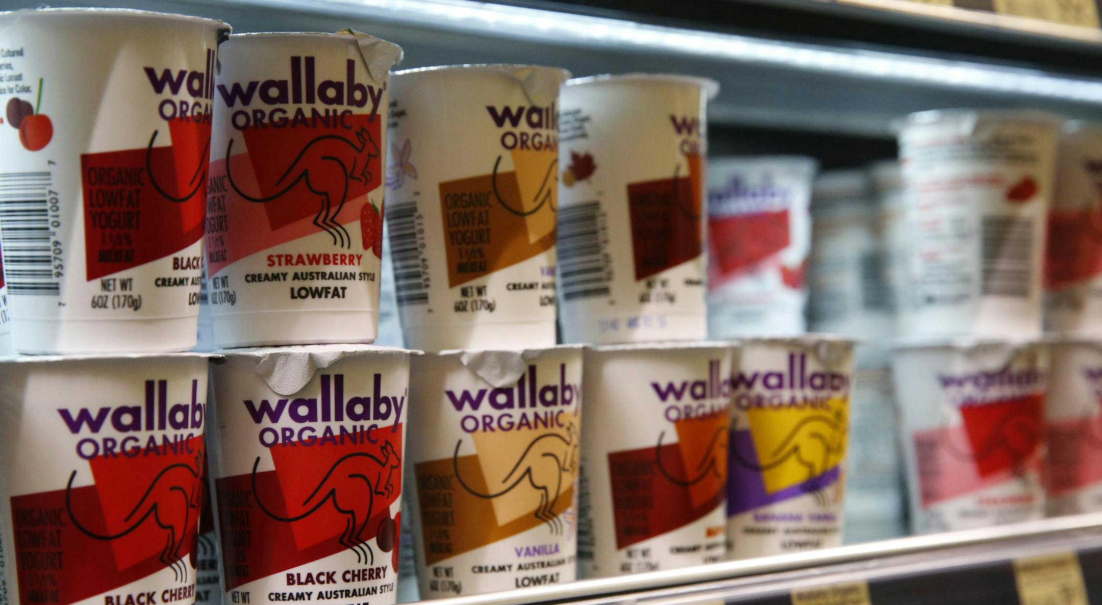 Yogurt made by the WhiteWave brand Wallaby Organic is in stock at Alfalfa's Market, a locally-owned and independent grocery store in Boulder, Colo., Thursday, July 7, 2016. Yogurt giant Danone says it reached a $10 billion deal to buy Colorado-based American organic food maker WhiteWave, expanding the French company's foothold in health foods and the U.S. market. Paris-based Danone said in a statement Thursday that it is paying $56.25 per share in the deal, 24 percent above WhiteWave's average s