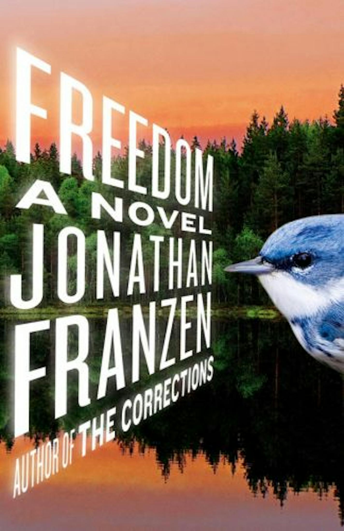 Freedom by Jonathan Franzen