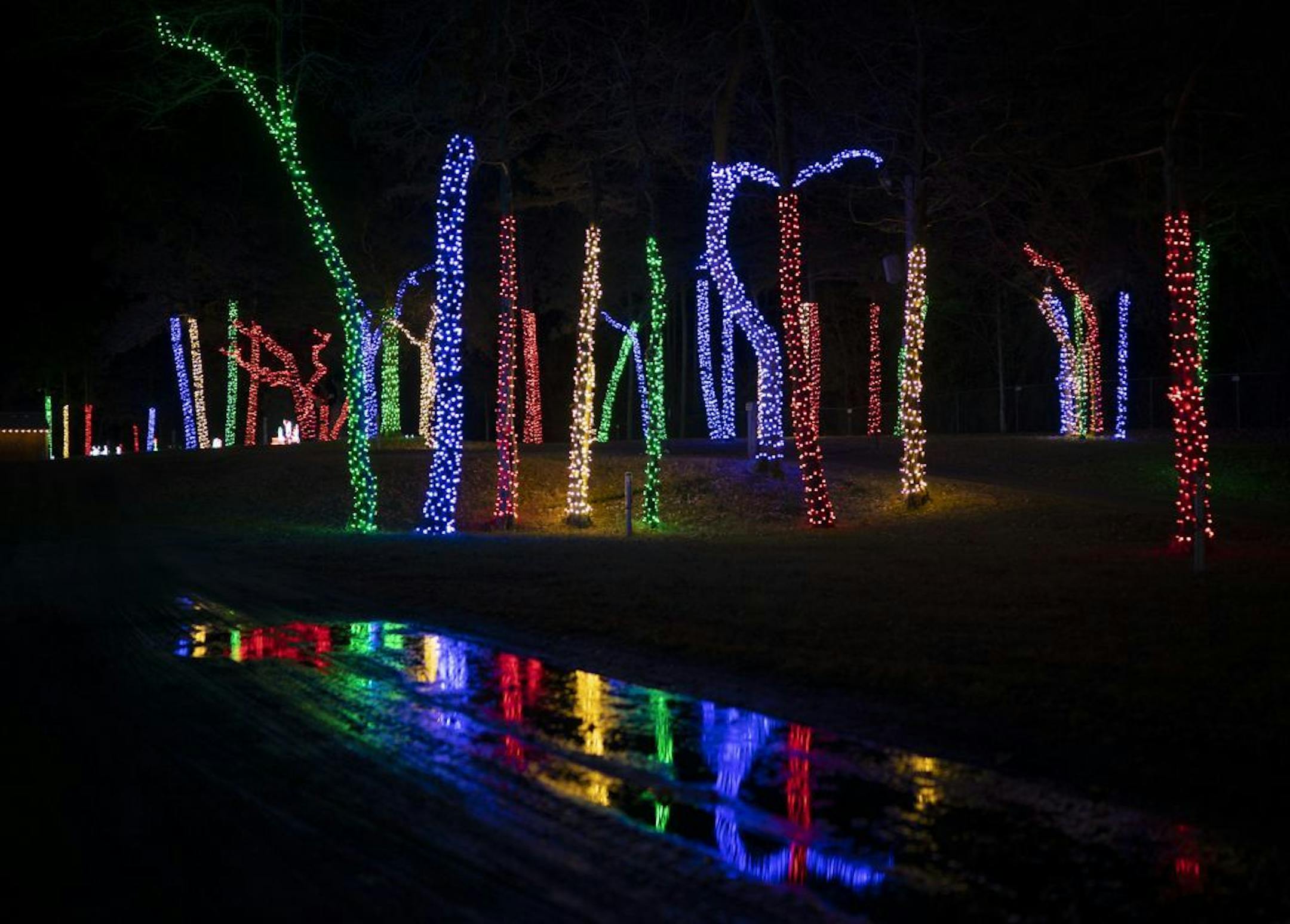 Trees throughout the village are wrapped in colored lights.