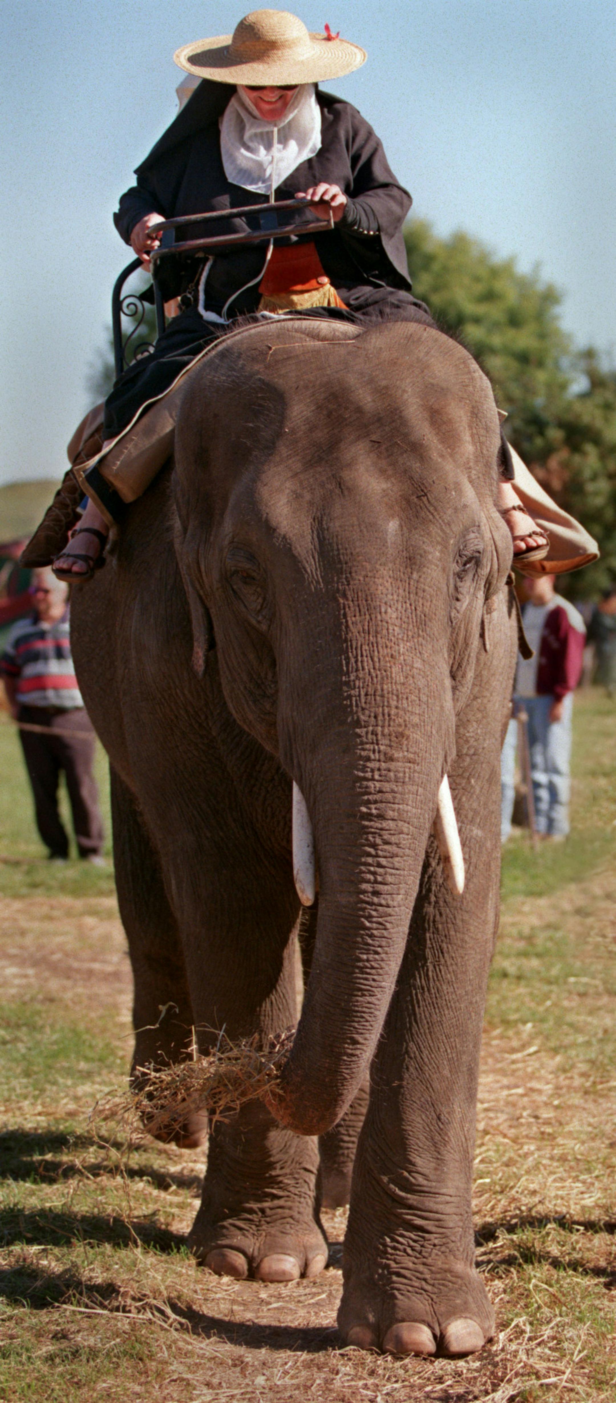 Mary Kuhfeld from the Soceity for Creative Anachronism enjoyed an elephant ride at the Resaissance Festival. She pointed out that a live elephant at a real medieval festival would have created quite a stir since few would have seen one except as a drawing, and only the educated would have even have seen that. She was worried, however, that her ankles were exposed. No medieval lady would have let her ankles be seen, and certainly a nun would not. Her interest is in period religious orders and in