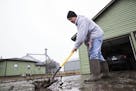 Mike Loeffler clears mud from his driveway on Willow Street while dealing with the aftermath of major flooding Tuesday, March 19, 2019, in North Bend,