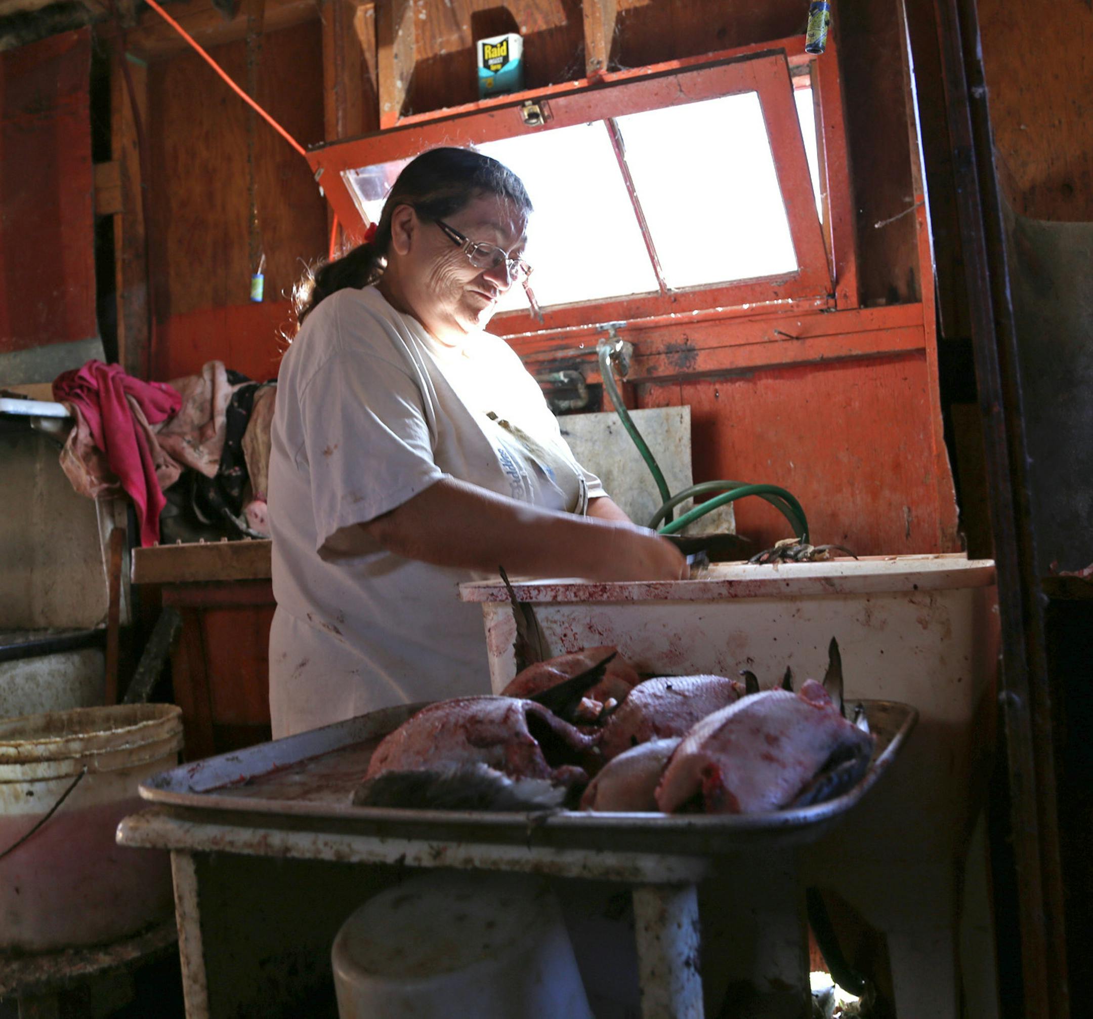 Cleaning ducks at the Sports Afield Duck Club can be an all-afternoon affair for as many as five people. In some families living in or near St. Ambroise, Manitoba, multiple generations have worked at the club, which is open to the public.