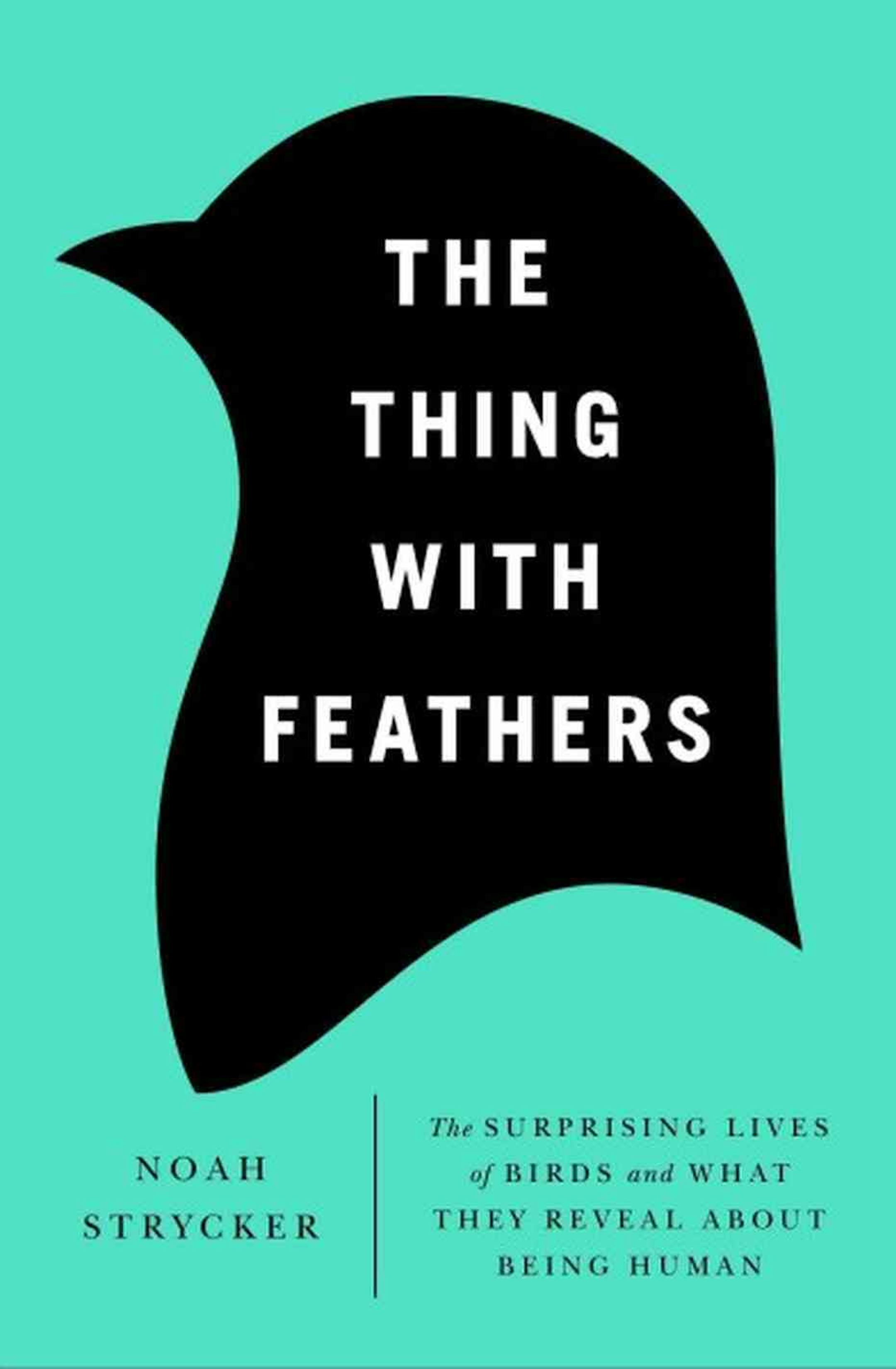 The Thing With Feathers