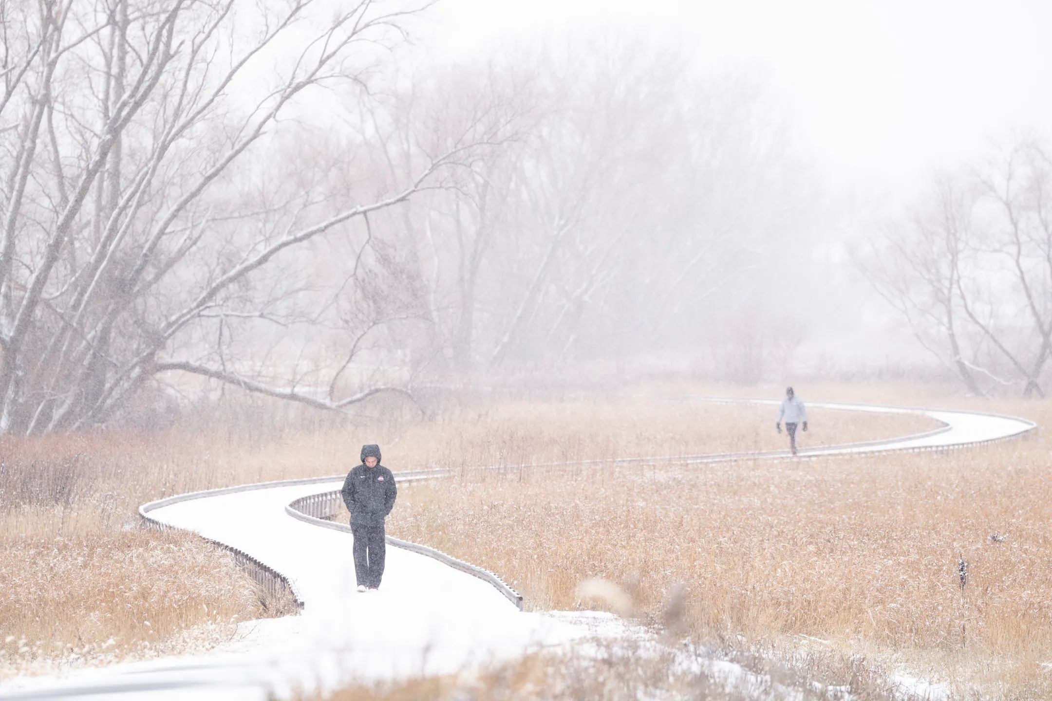 First major snow of season leads to hundreds of crashes across Minnesota