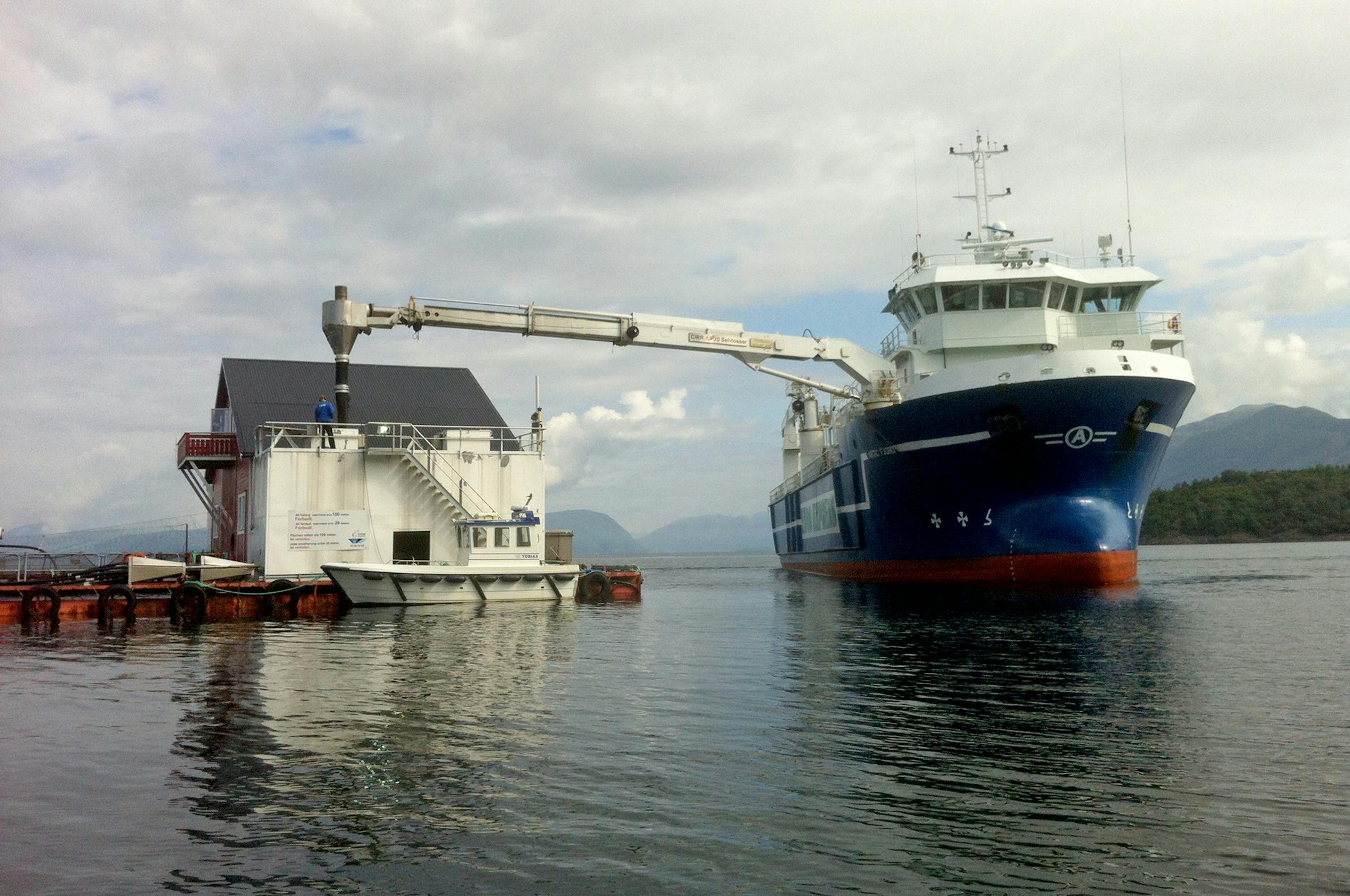 A ship unloading feed at a salmon farm - more info ( hpefully) to come - provided by Cargill