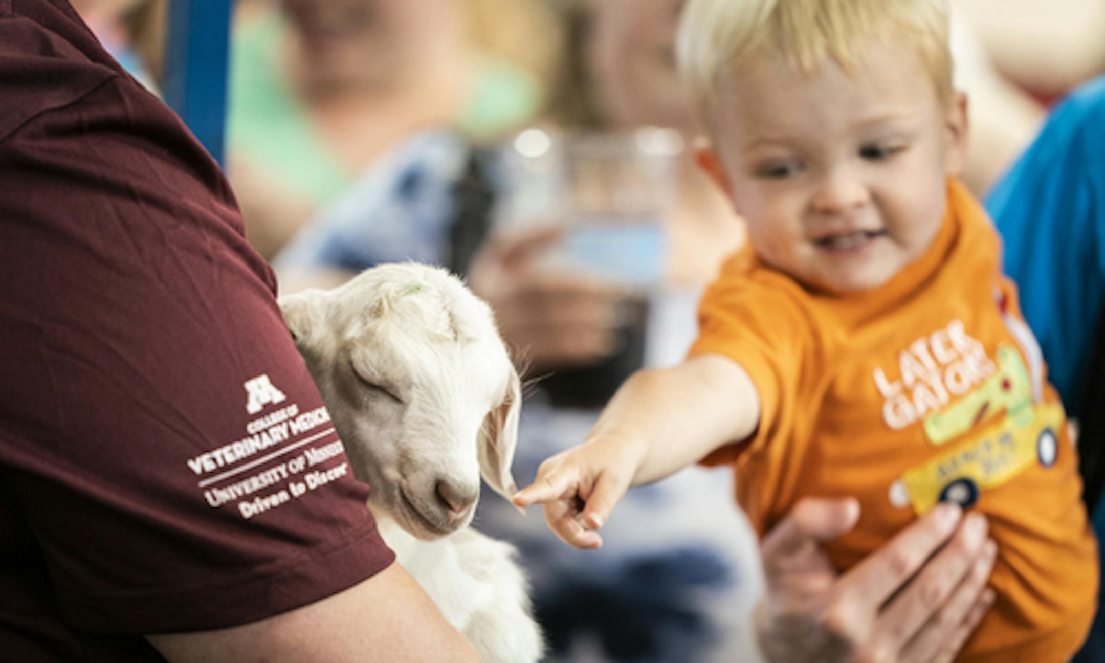 A newborn goat got some attention in the CHS Miracle of Birth Center. ] LEILA NAVIDI • leila.navidi@startribune.com BACKGROUND INFORMATION: Babies at the Minnesota State Fair in Falcon Heights on Friday, August 23, 2019.